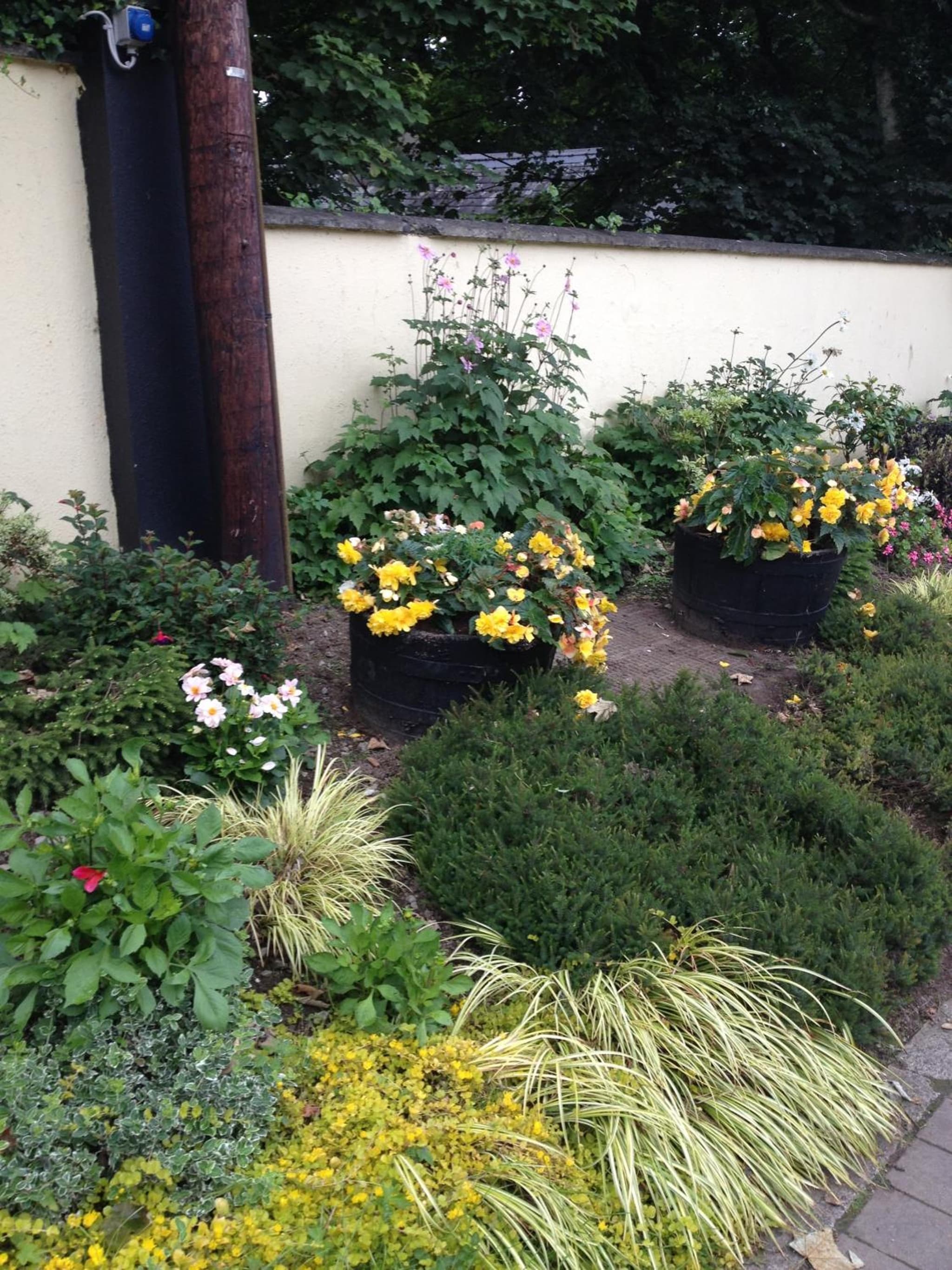 Shannon Breeze B&B photo 9