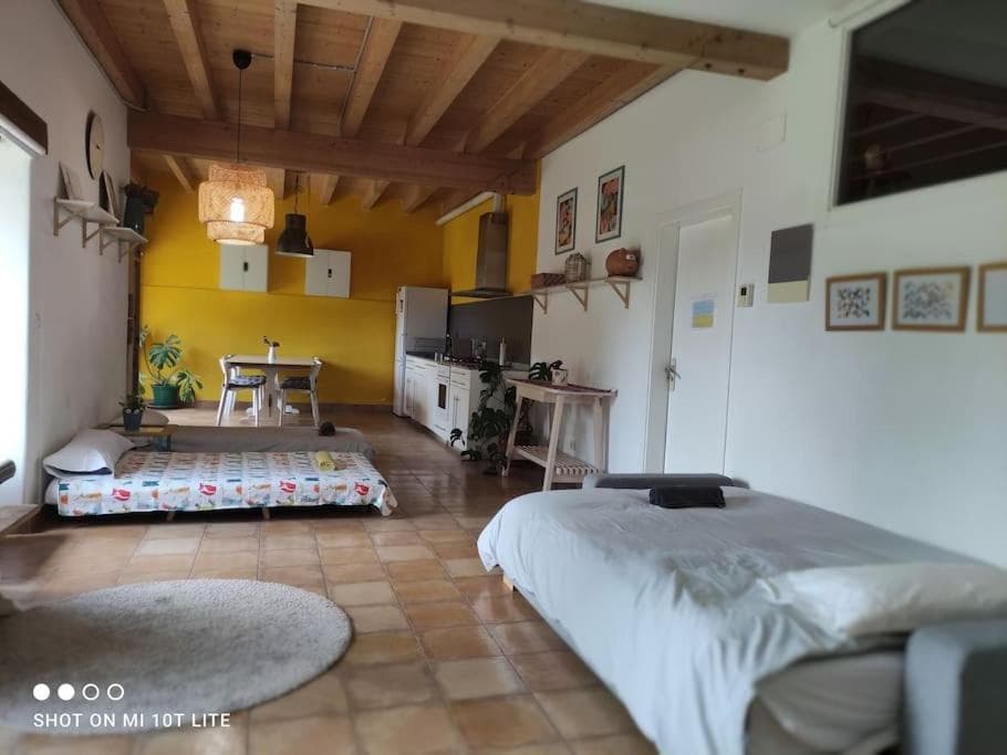 Apartamento rural con entrada independiente photo 2