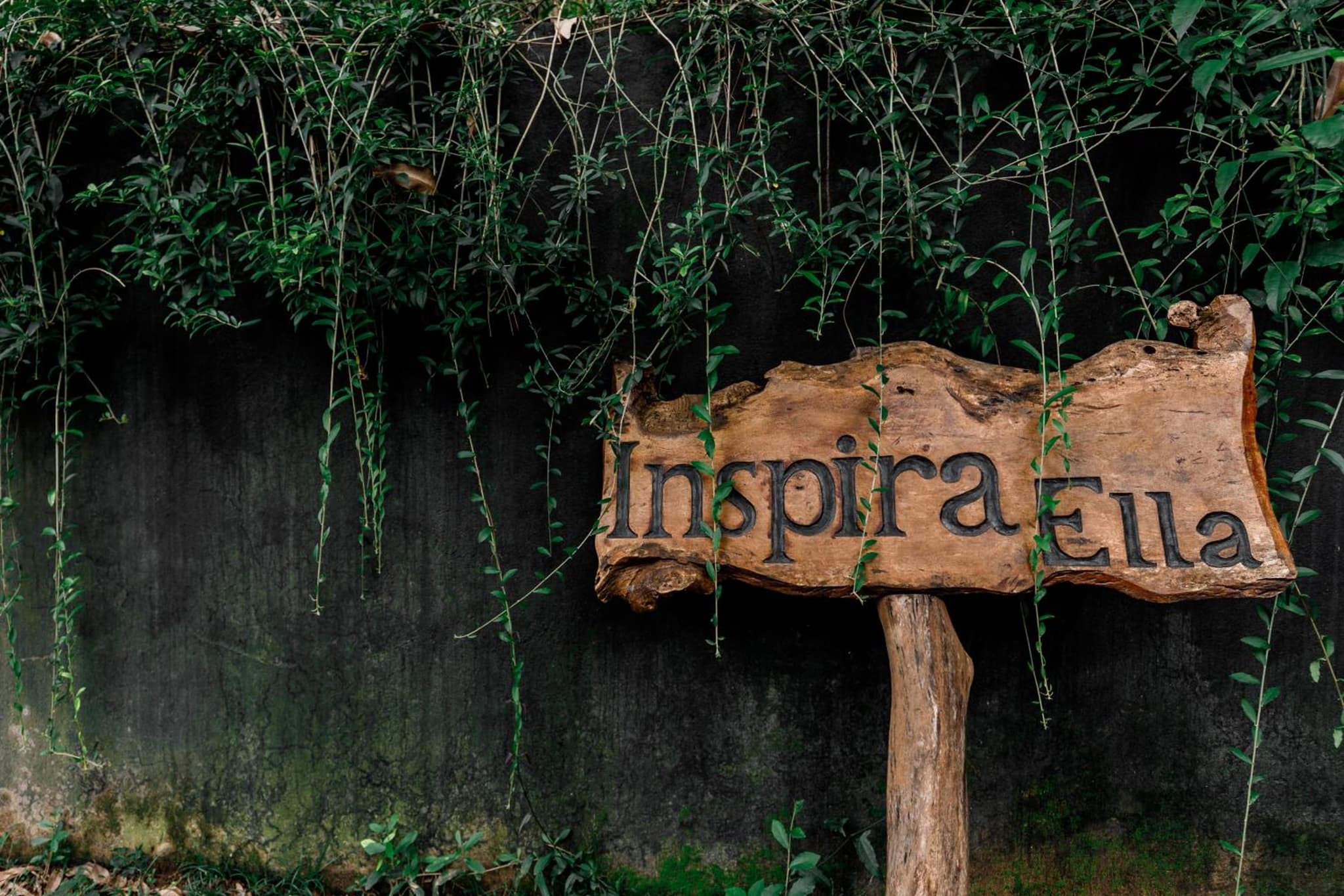 Inspira ella photo 5