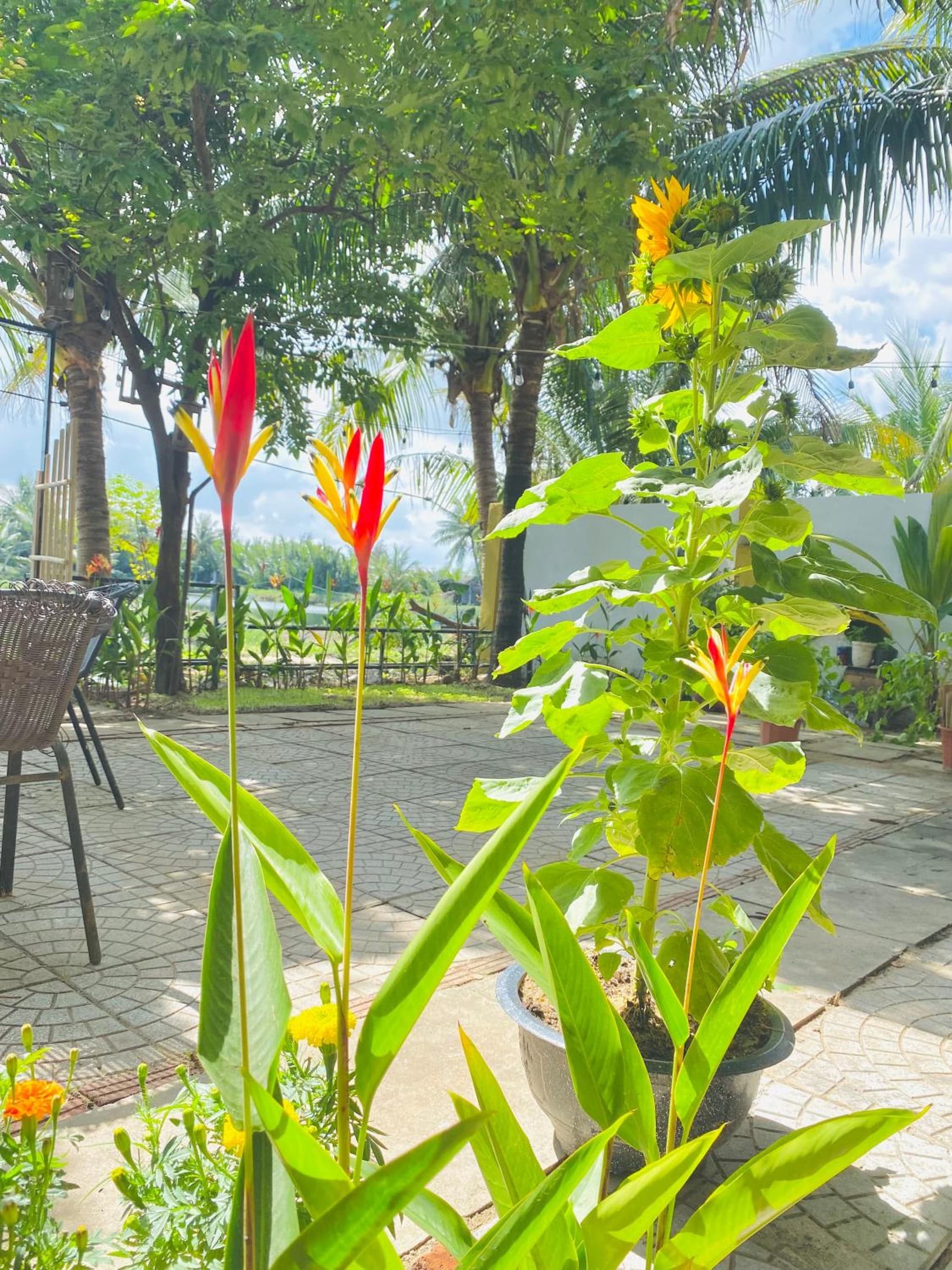 Laoxao Lakeview Homestay photo 4