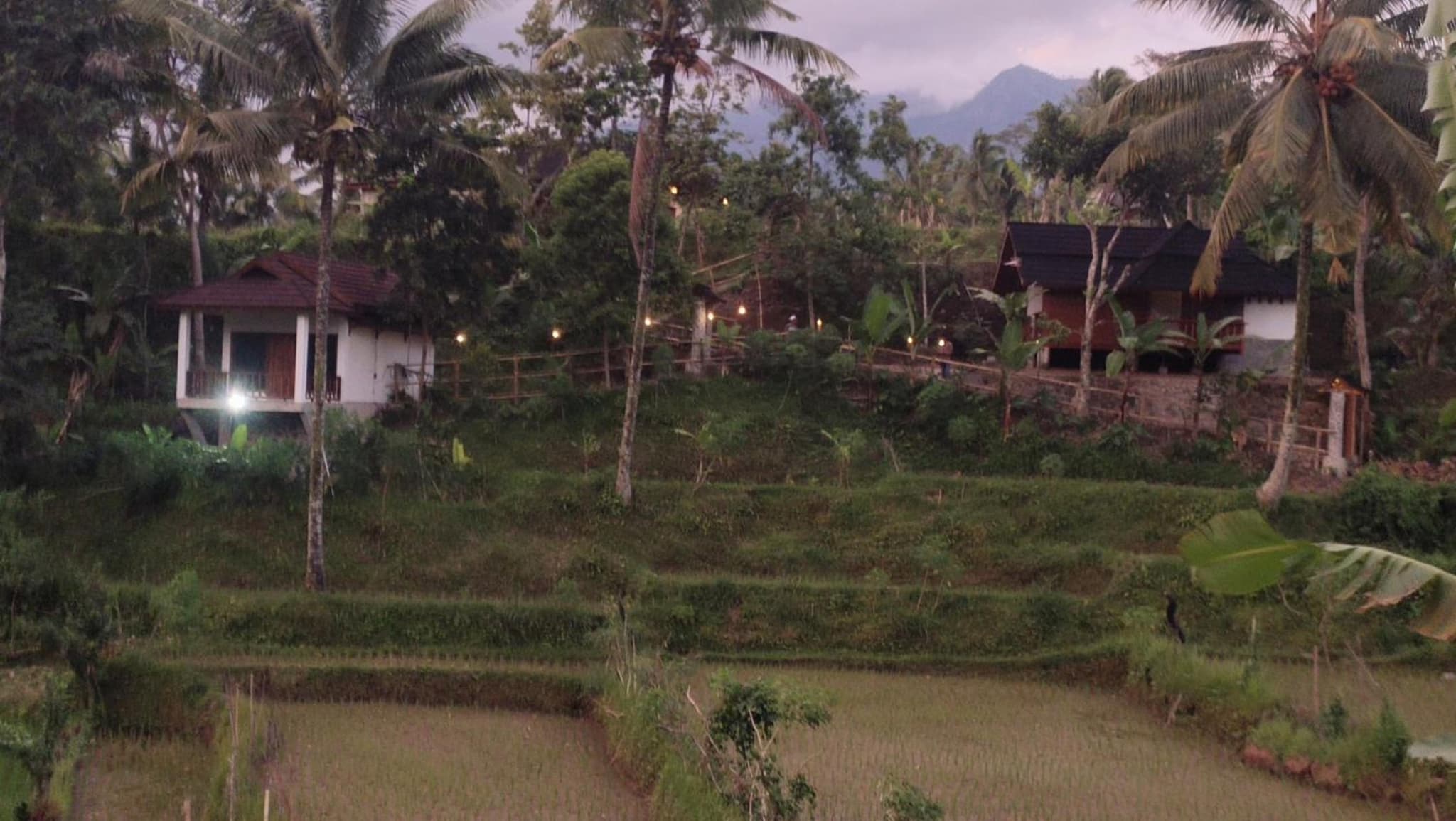 Nea Cottage Lombok photo 7