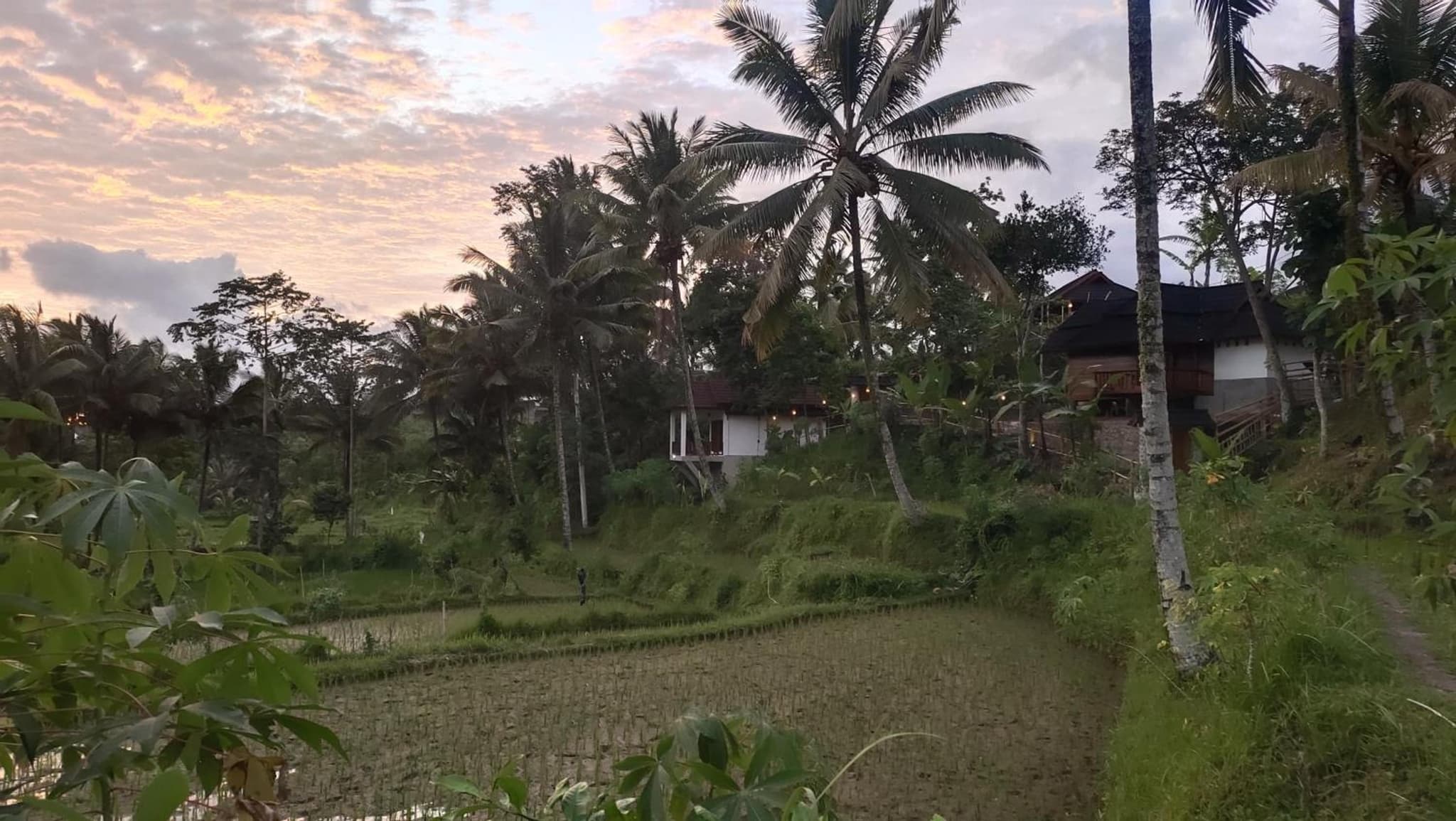 Nea Cottage Lombok photo 9