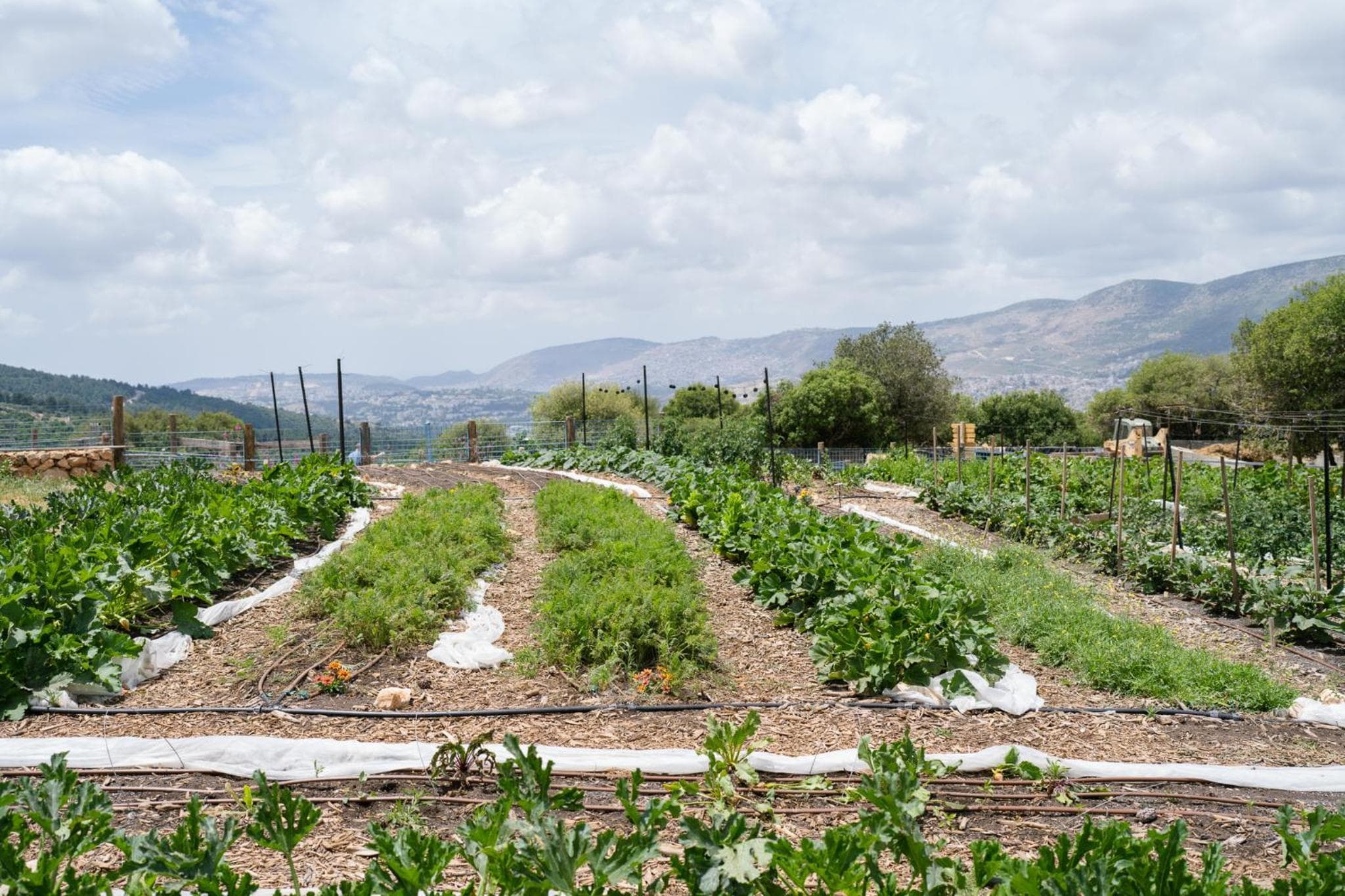 Rom Farm by Glow - חוות רום photo 5