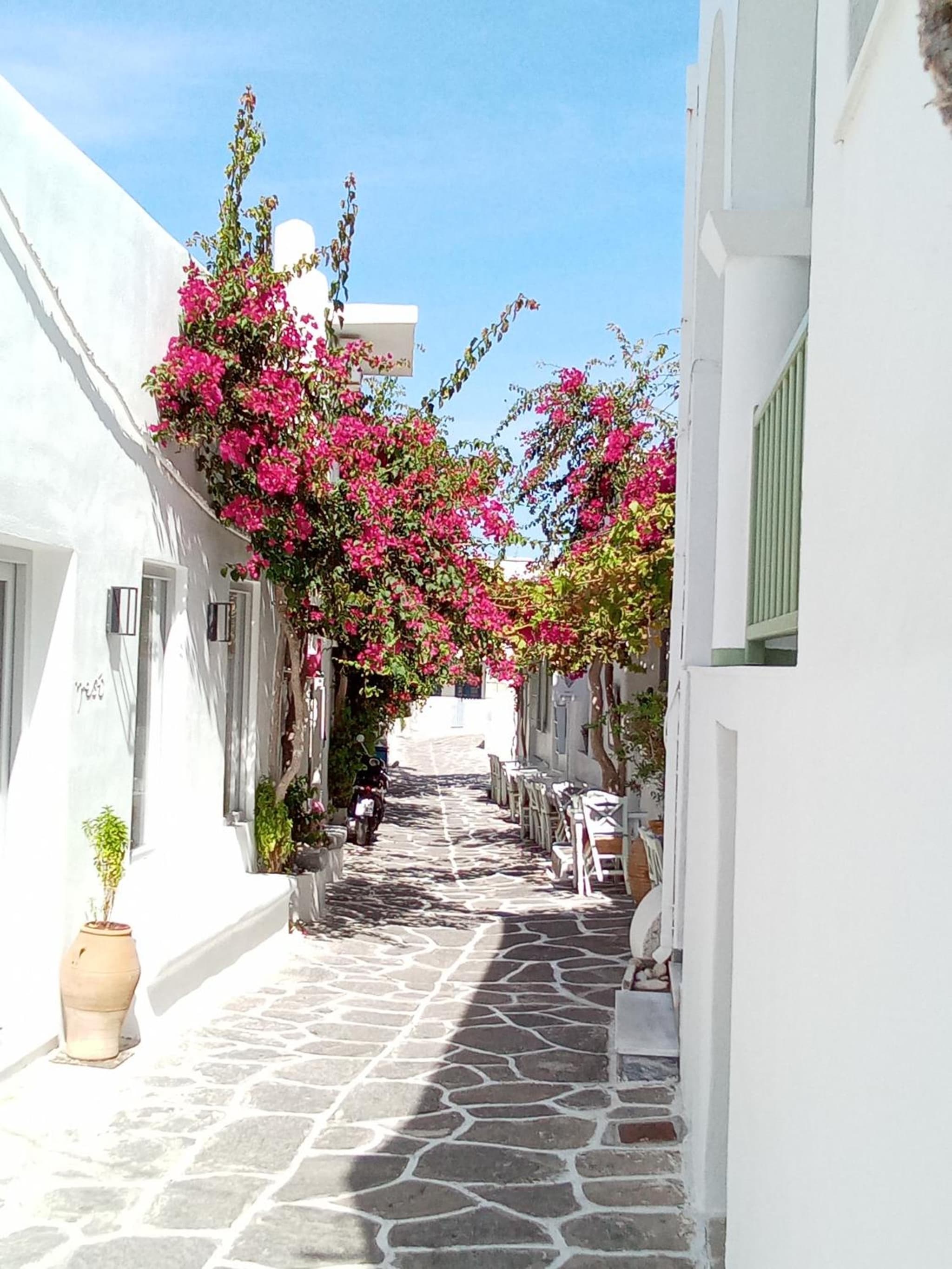 Sunloft-Paros photo 9