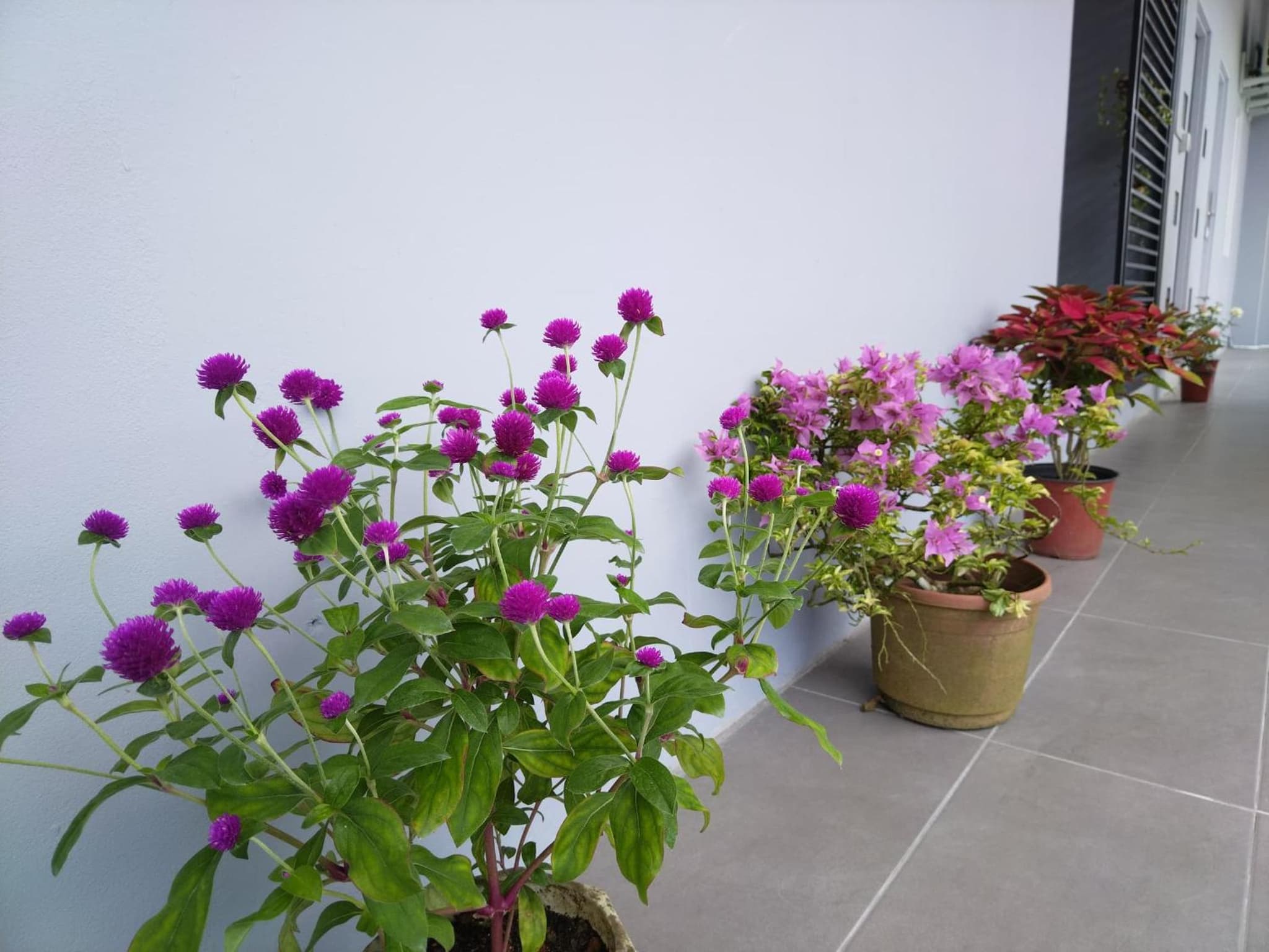 Greenery Studio, Kubot a Sentral photo 4