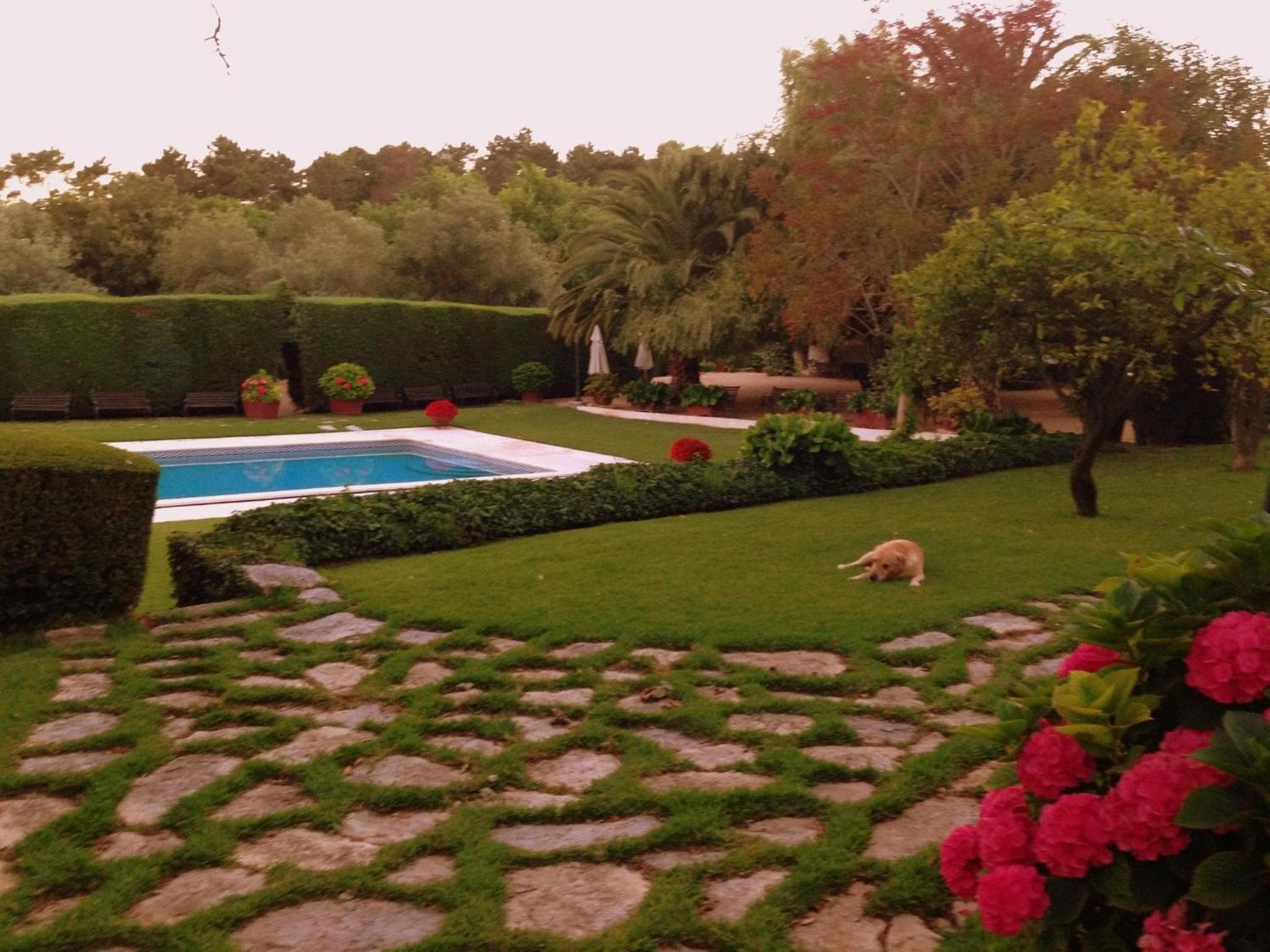 Otium Country House photo 5