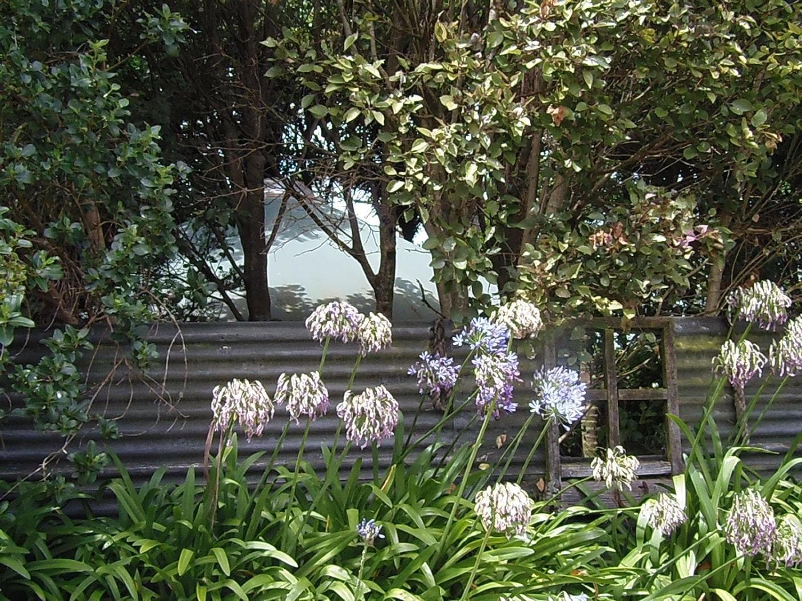 Nikau Sanctuary photo 5