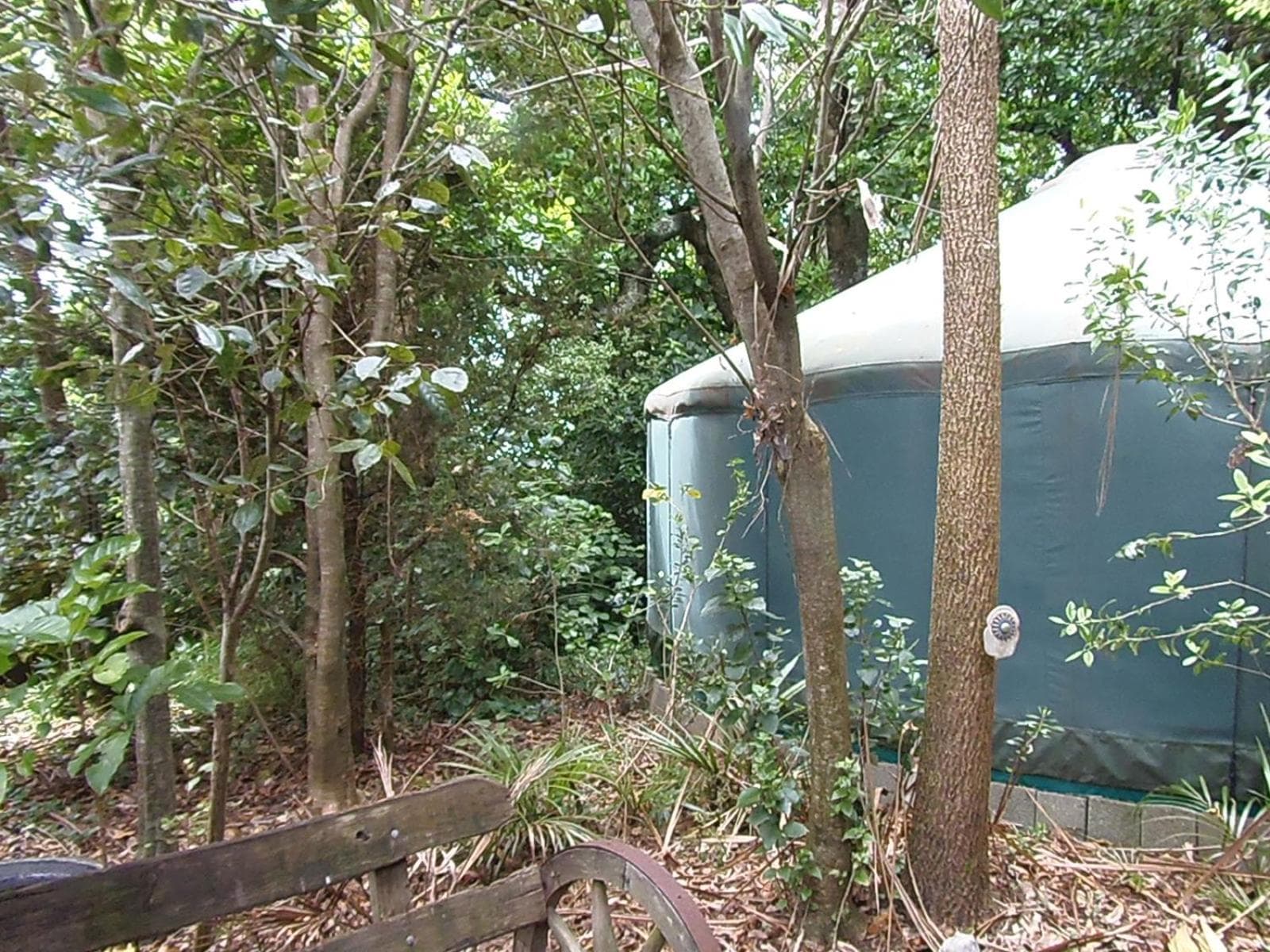Nikau Sanctuary photo 4
