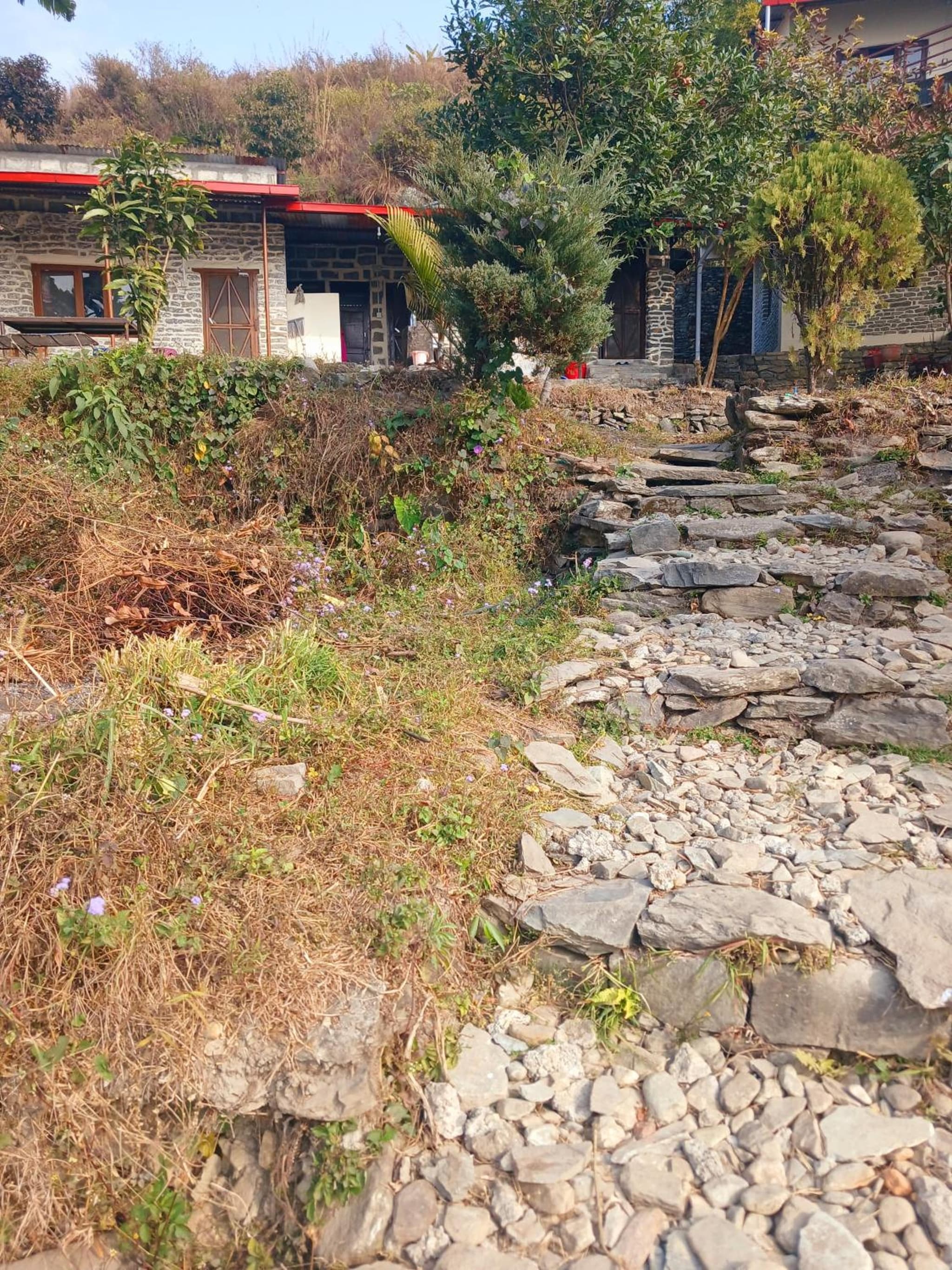 HIMALAYAN AAMA APARTMENT photo 6