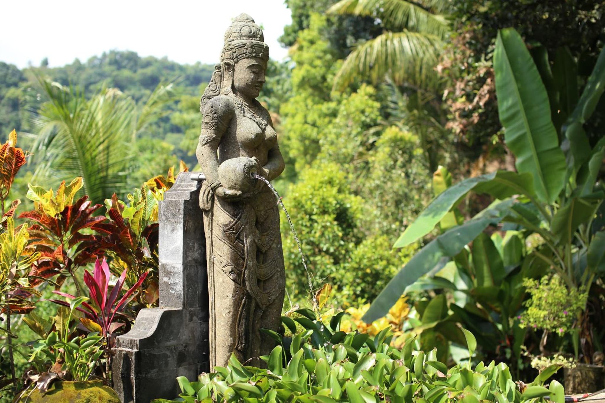 Villa Patria photo 4