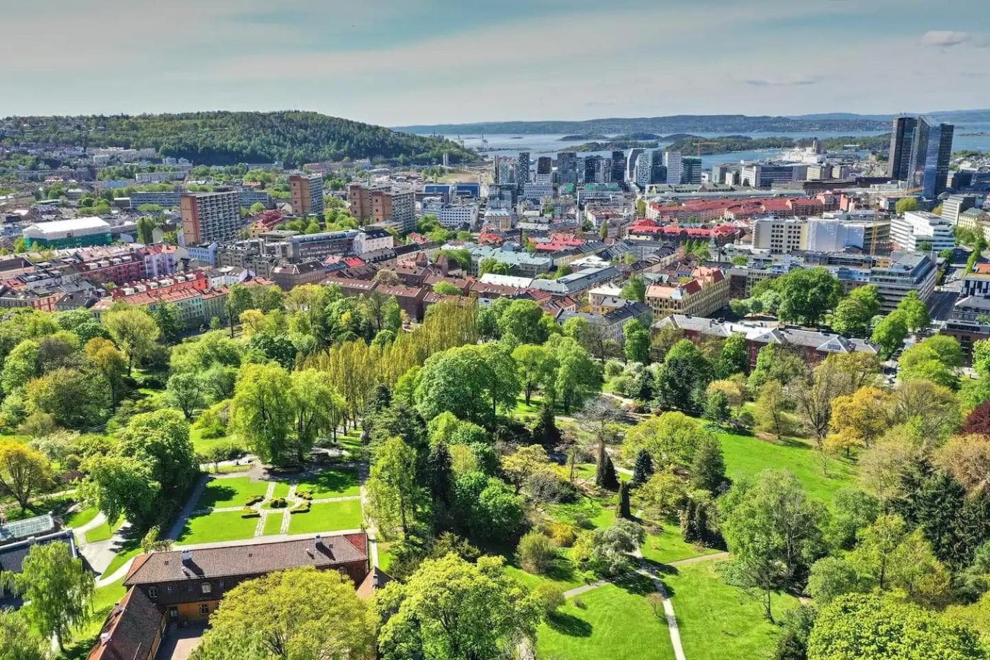 Flott leilighet i hjerte av Oslo photo 5