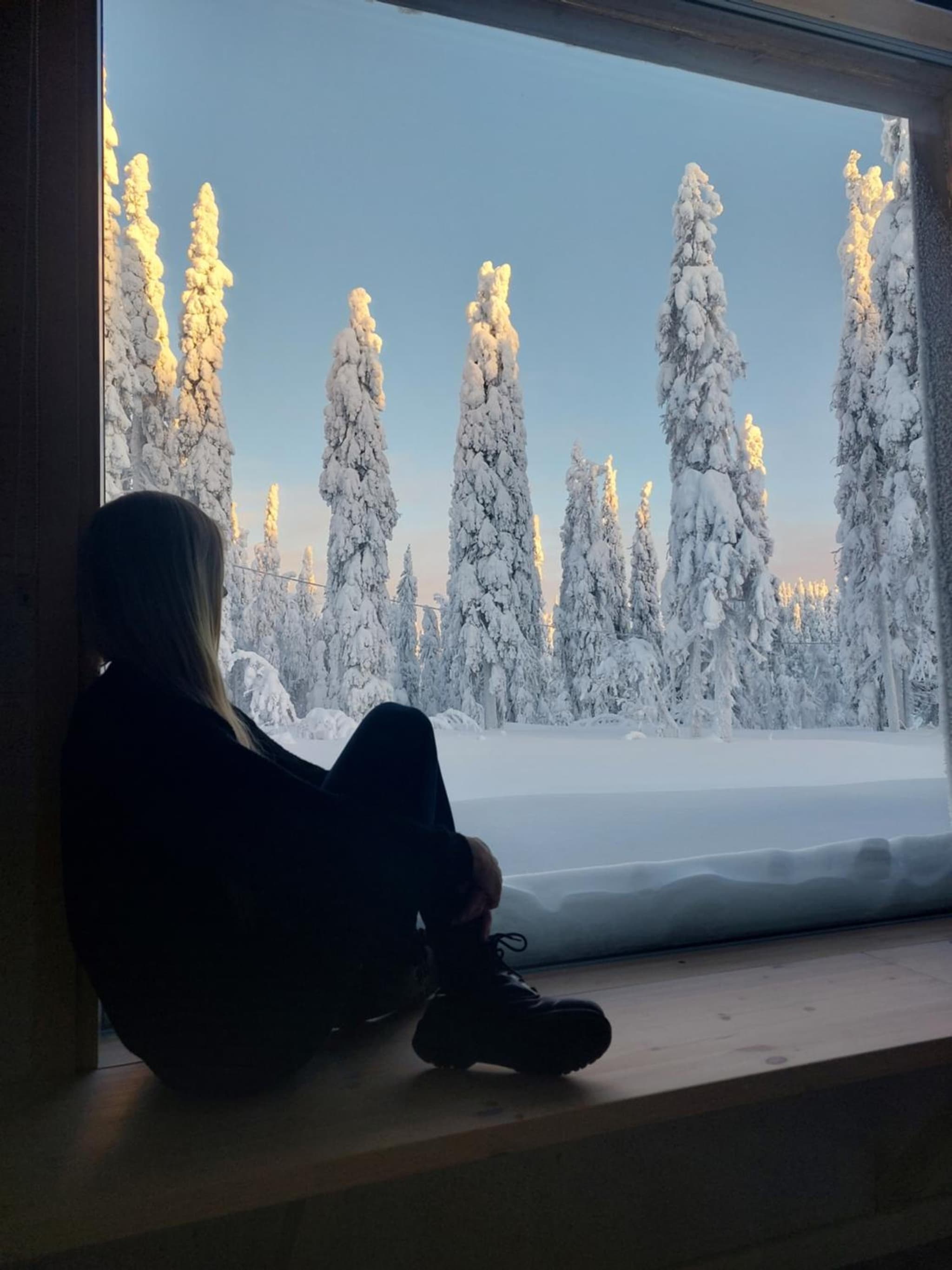Arctic Nest Forest Cabin