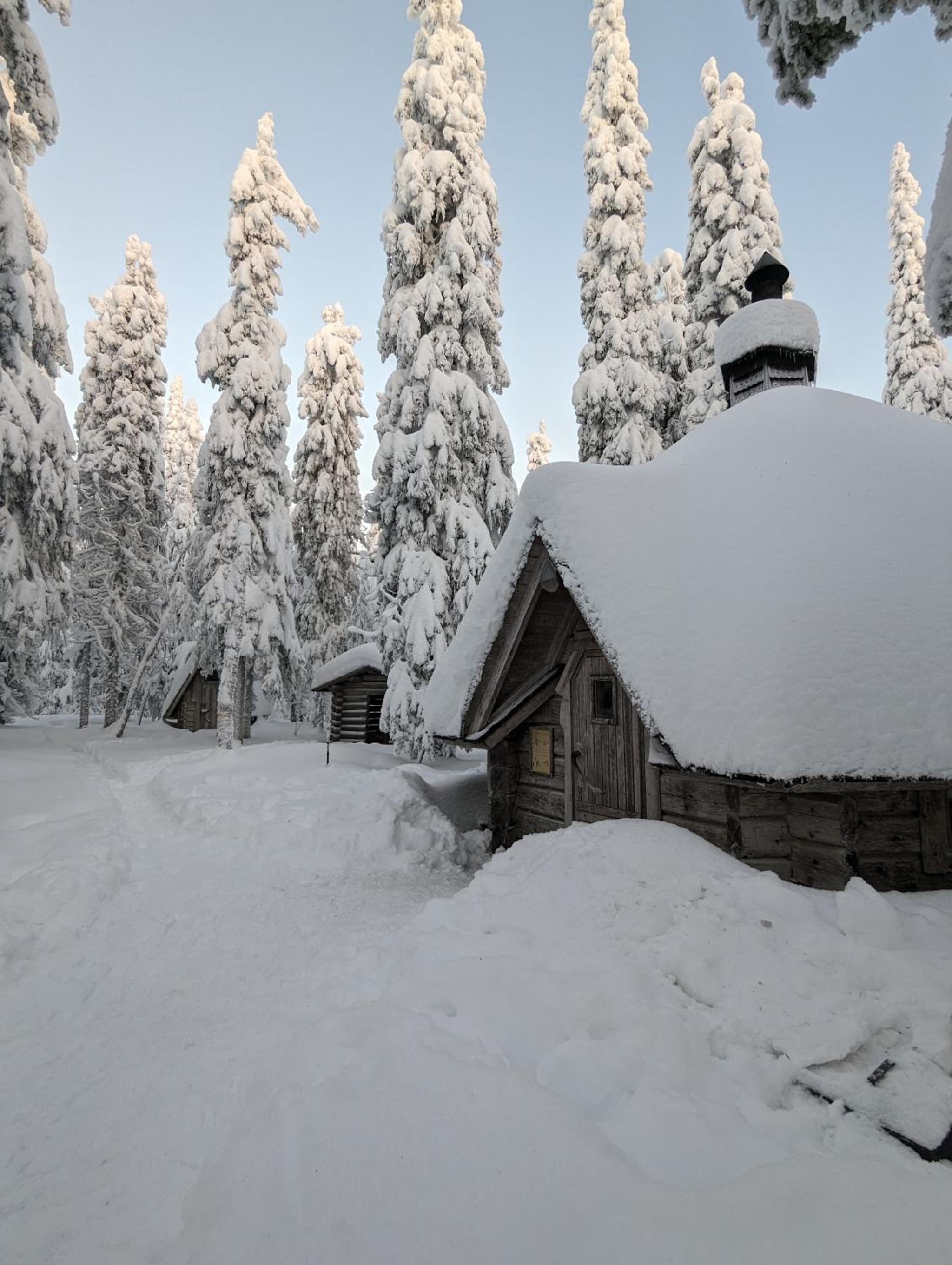 Arctic Nest Forest Cabin photo 7