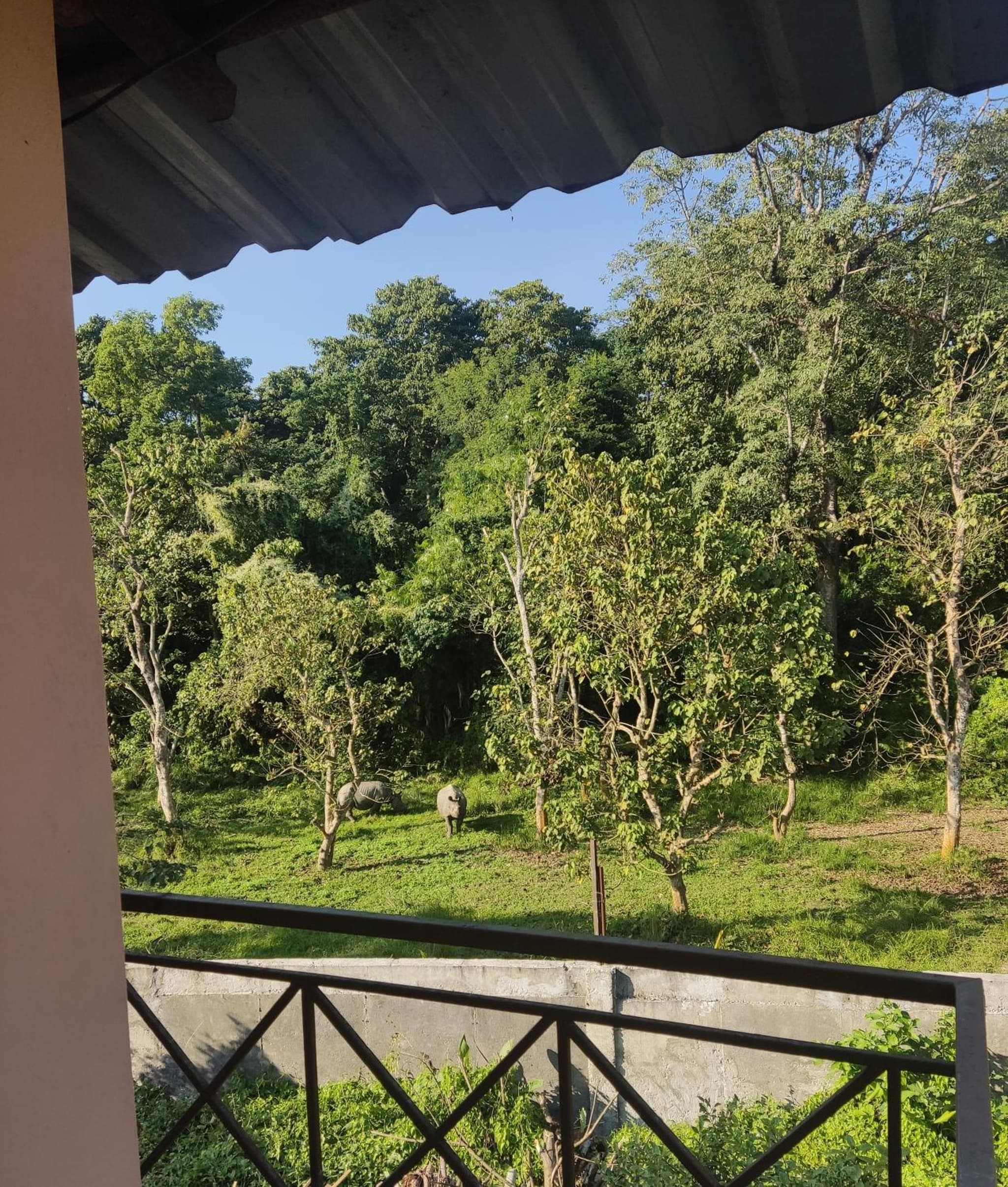 Madhuban Resort photo 3