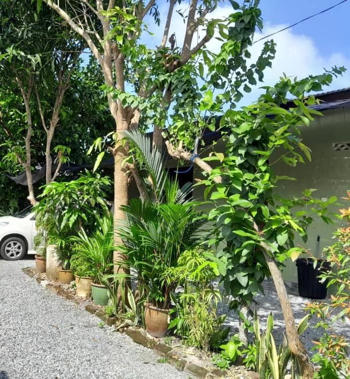 Hidden Homestay photo 6