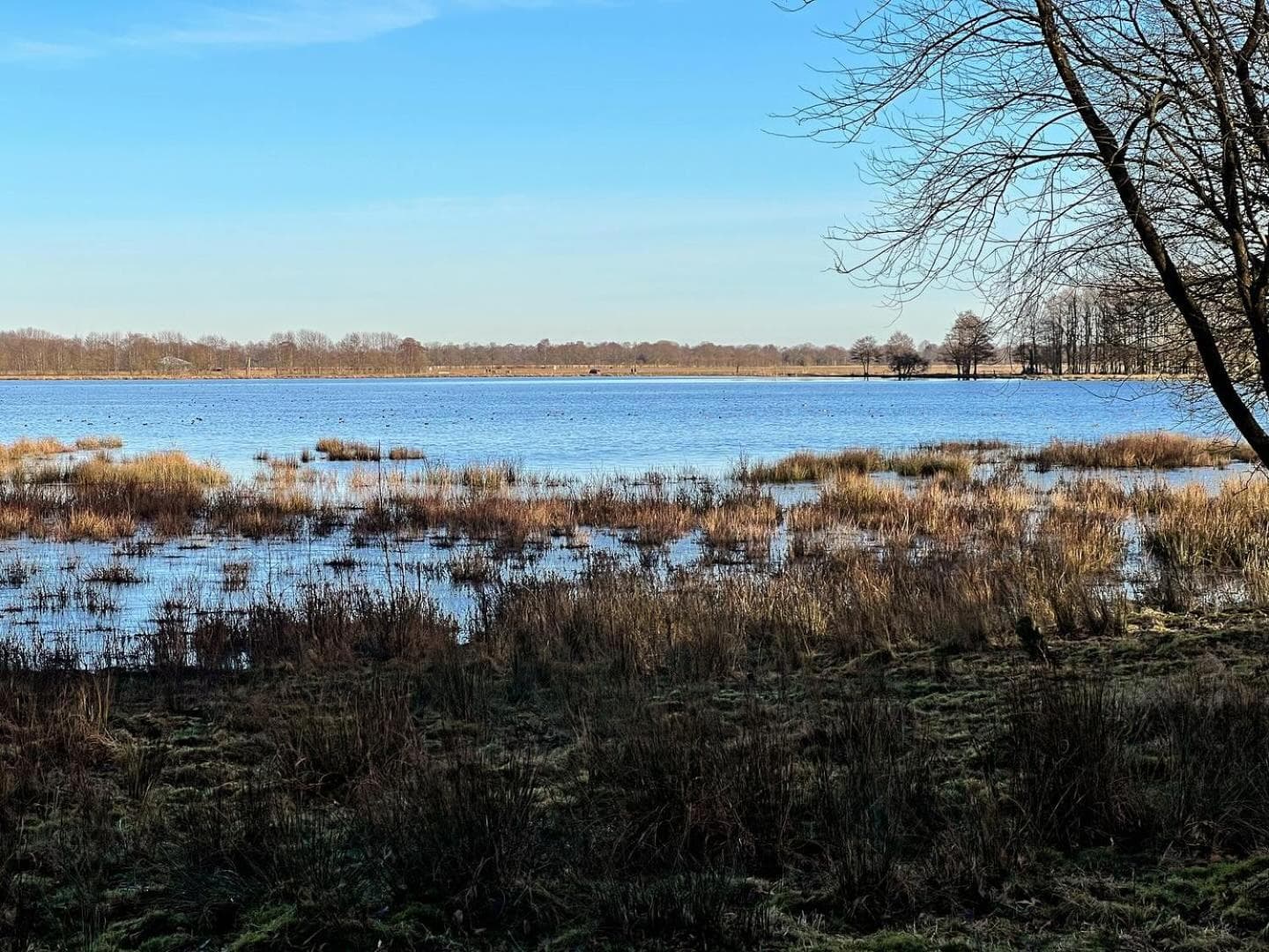 Natuurhuisje Meppen photo 2