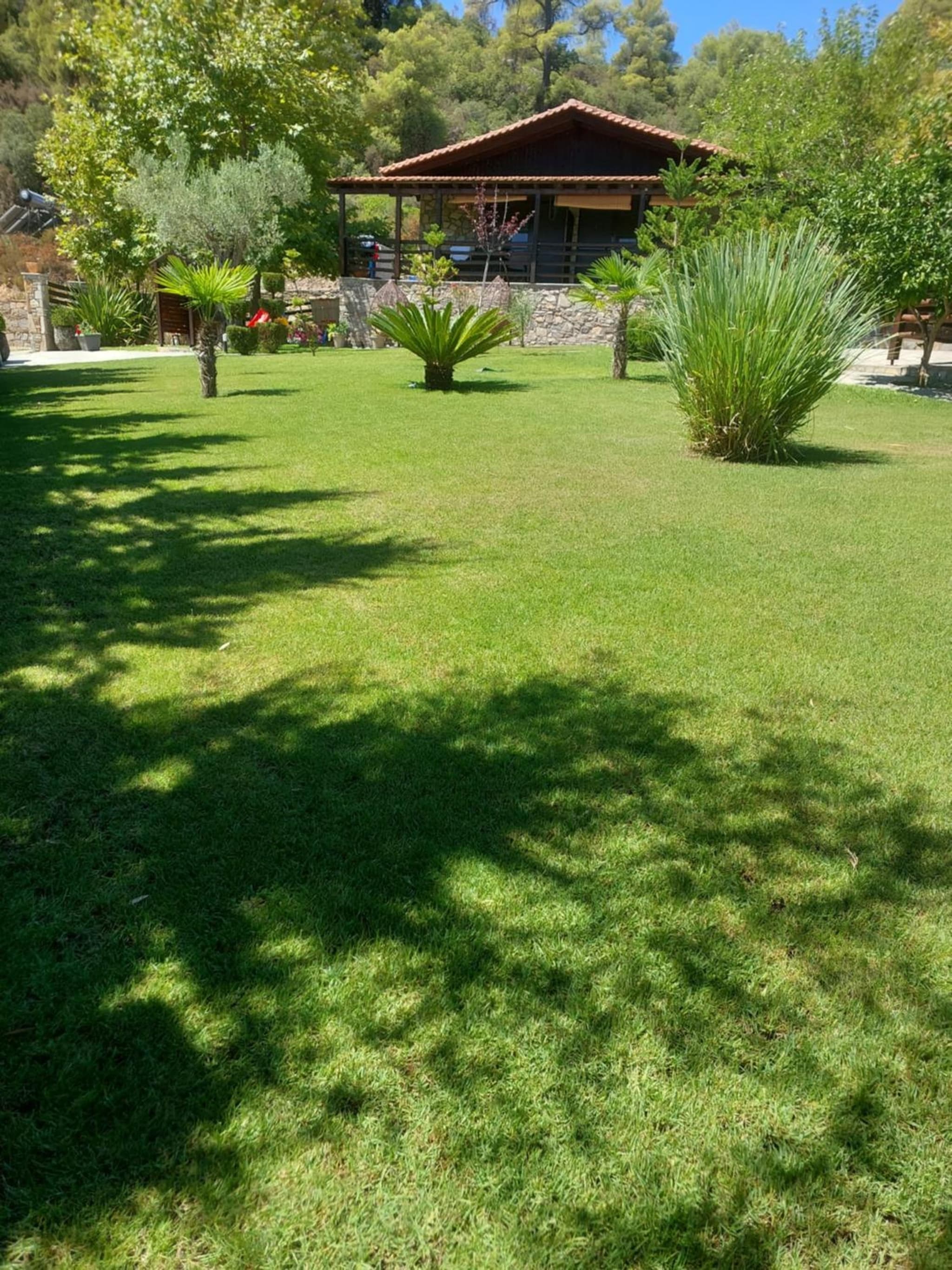 dimitris' villas - villa 2 photo 5