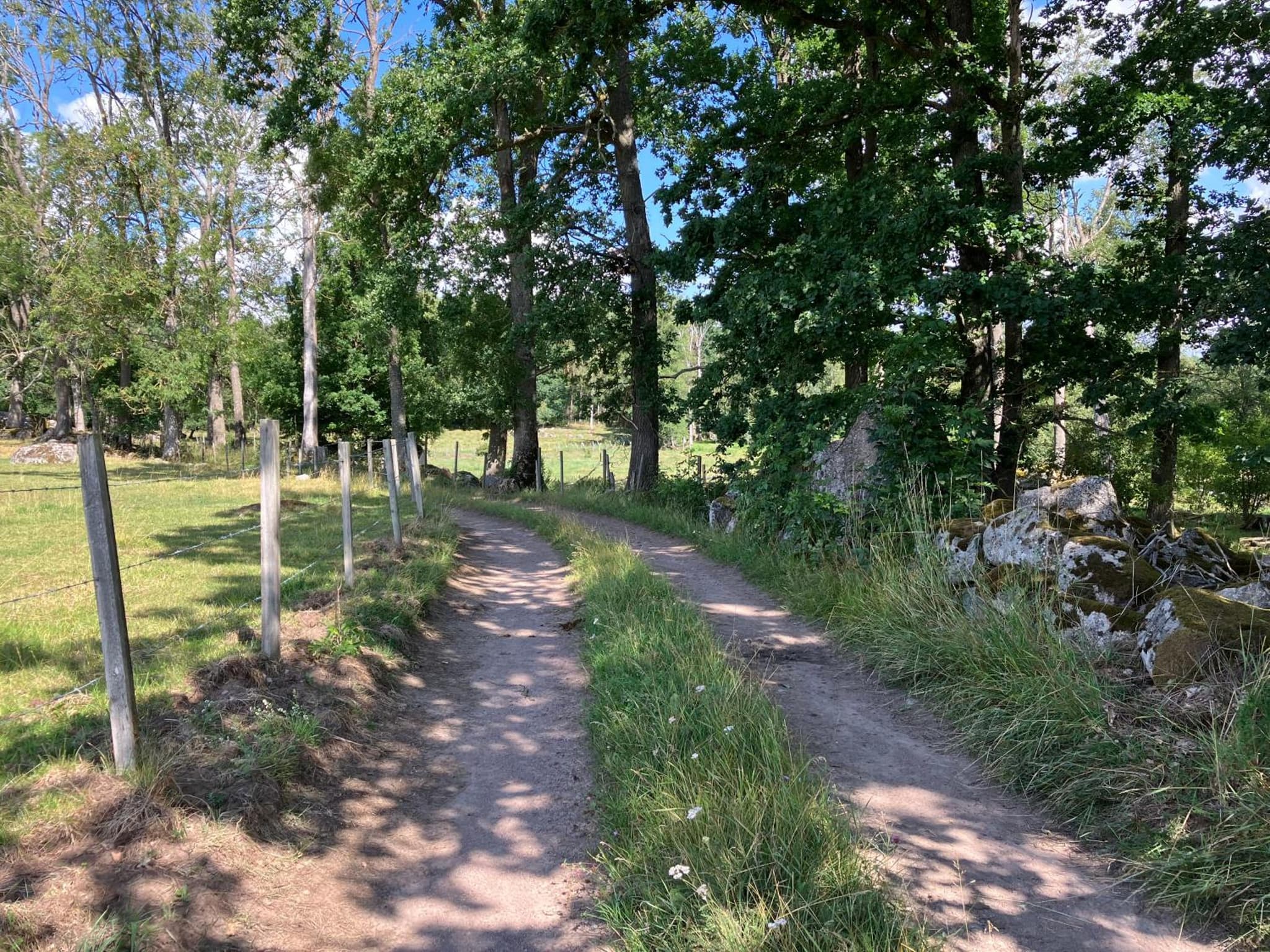 Lidhem herrgård. Bed & Breakfast och mindre lägenheter photo 6