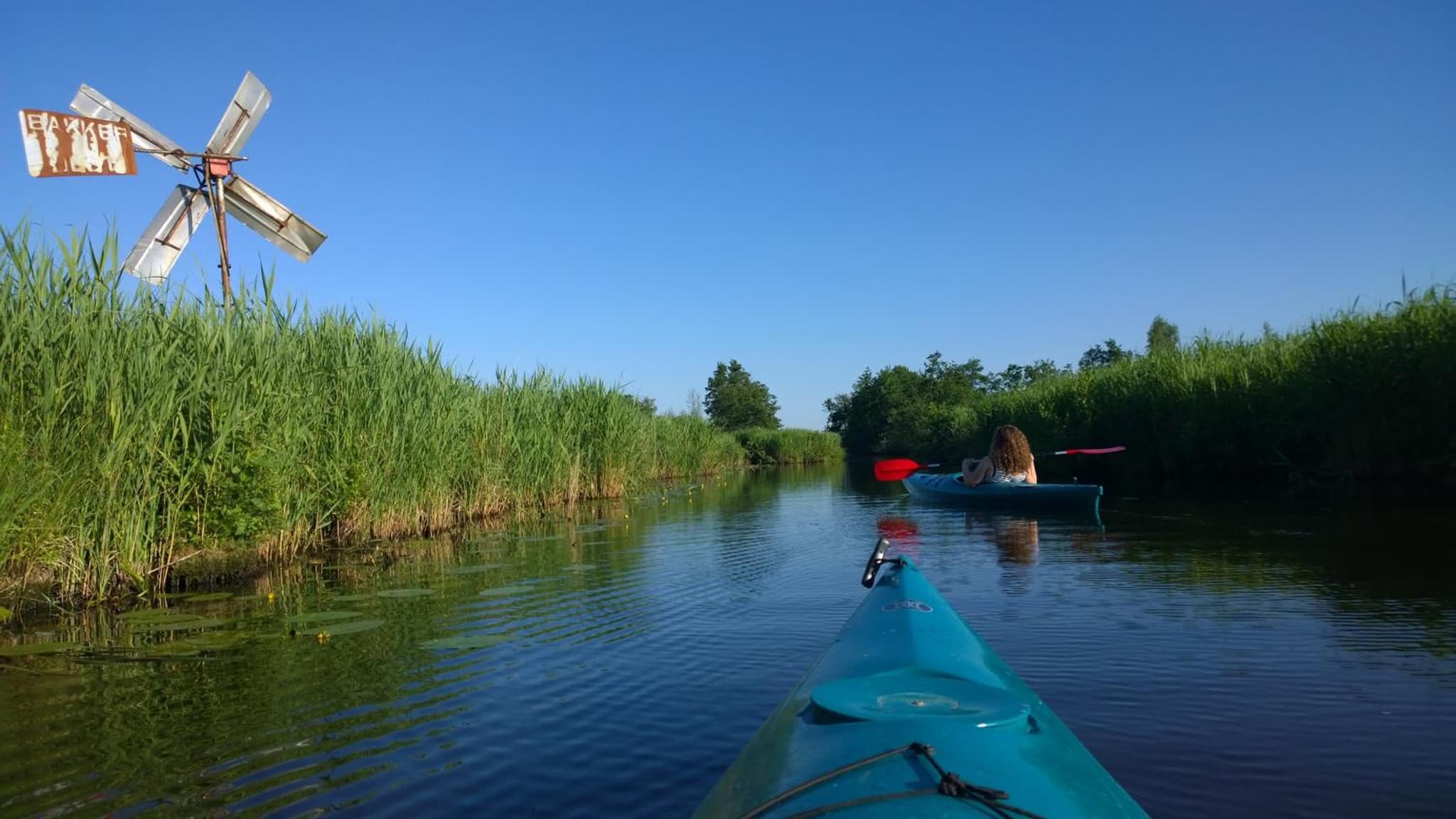 B&B de Zilverreiger photo 2
