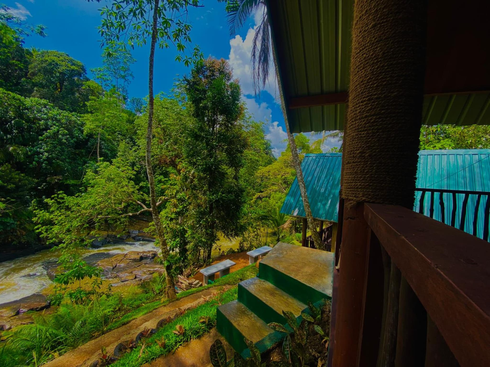 The Rainforest Hideaway photo 3