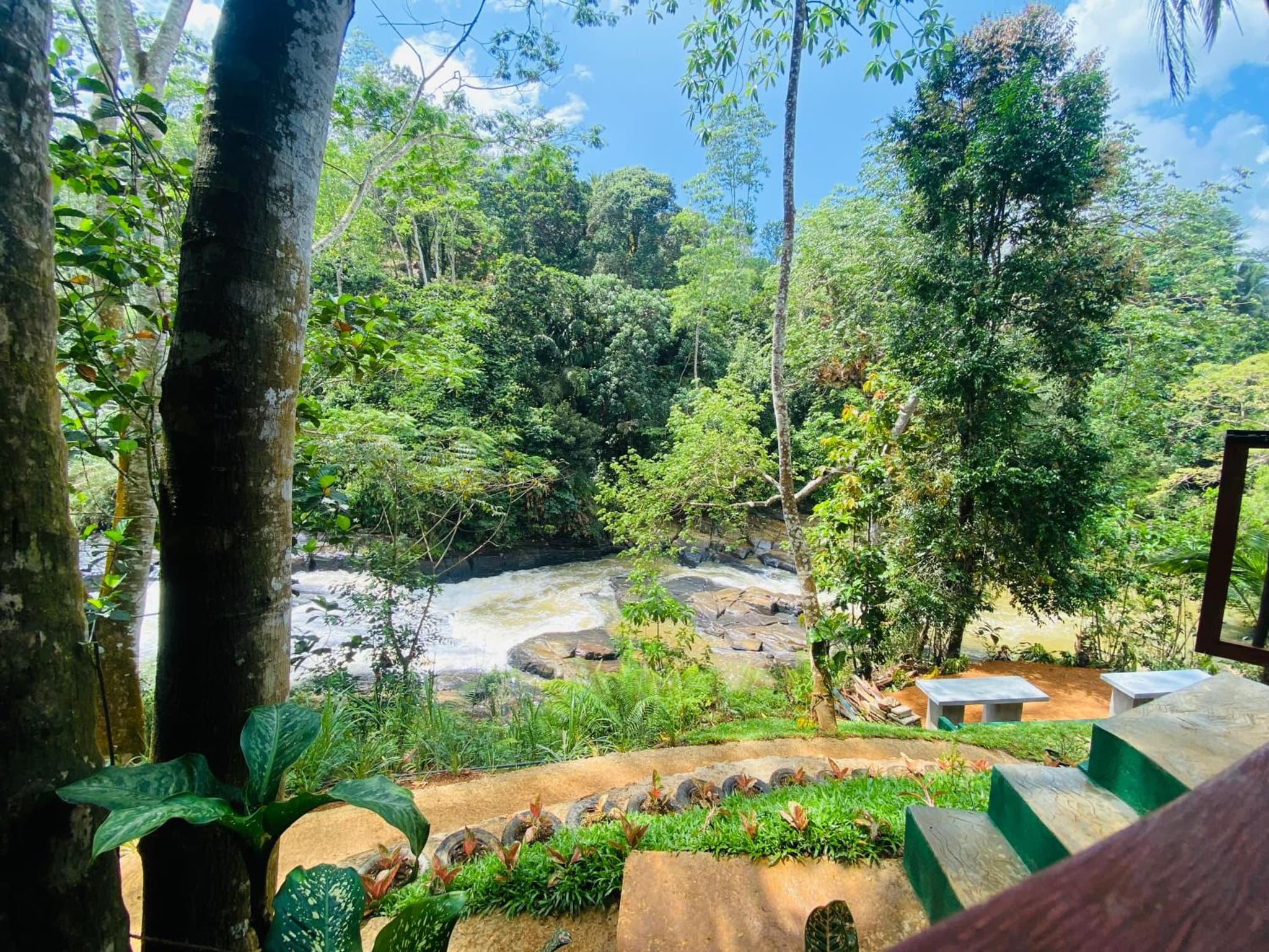 The Rainforest Hideaway photo 9
