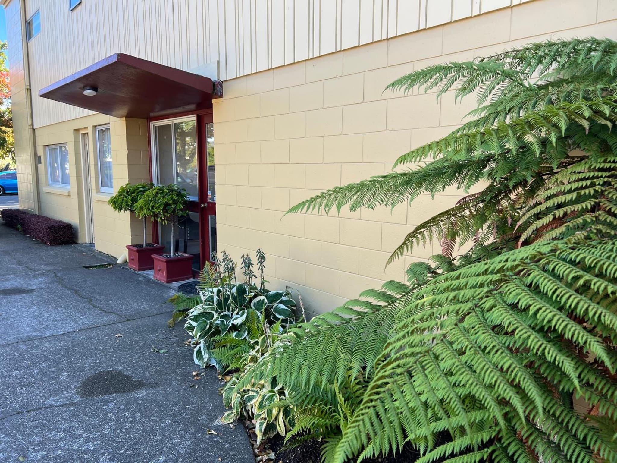 Golden Leaf Apartments photo 9