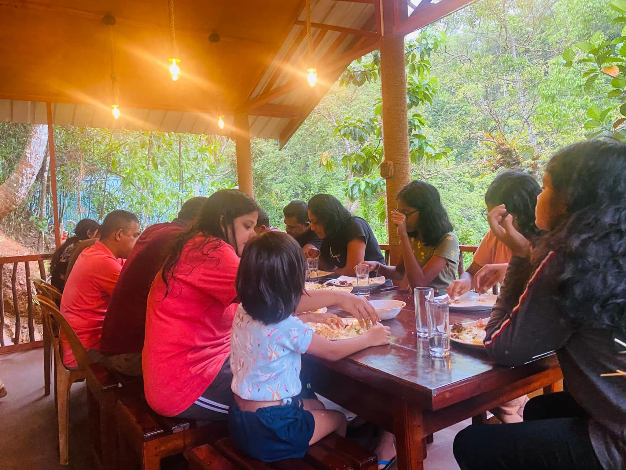 The Rainforest Hideaway photo 8