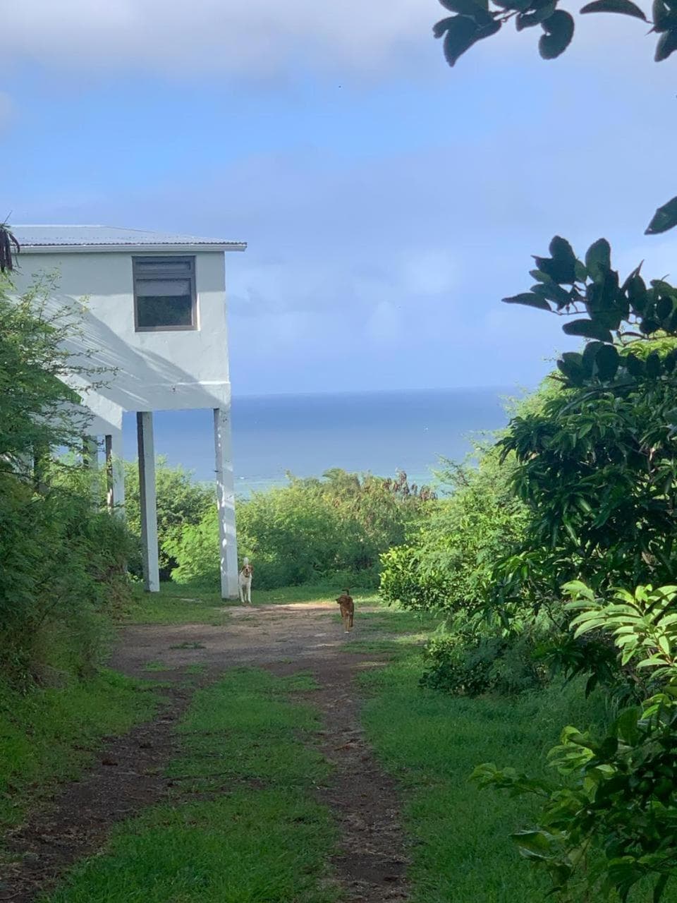 Serenity cottage photo 6