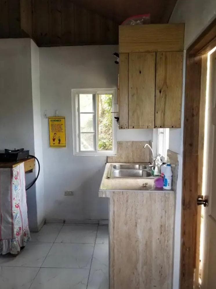 Backra`s Villa photo 7