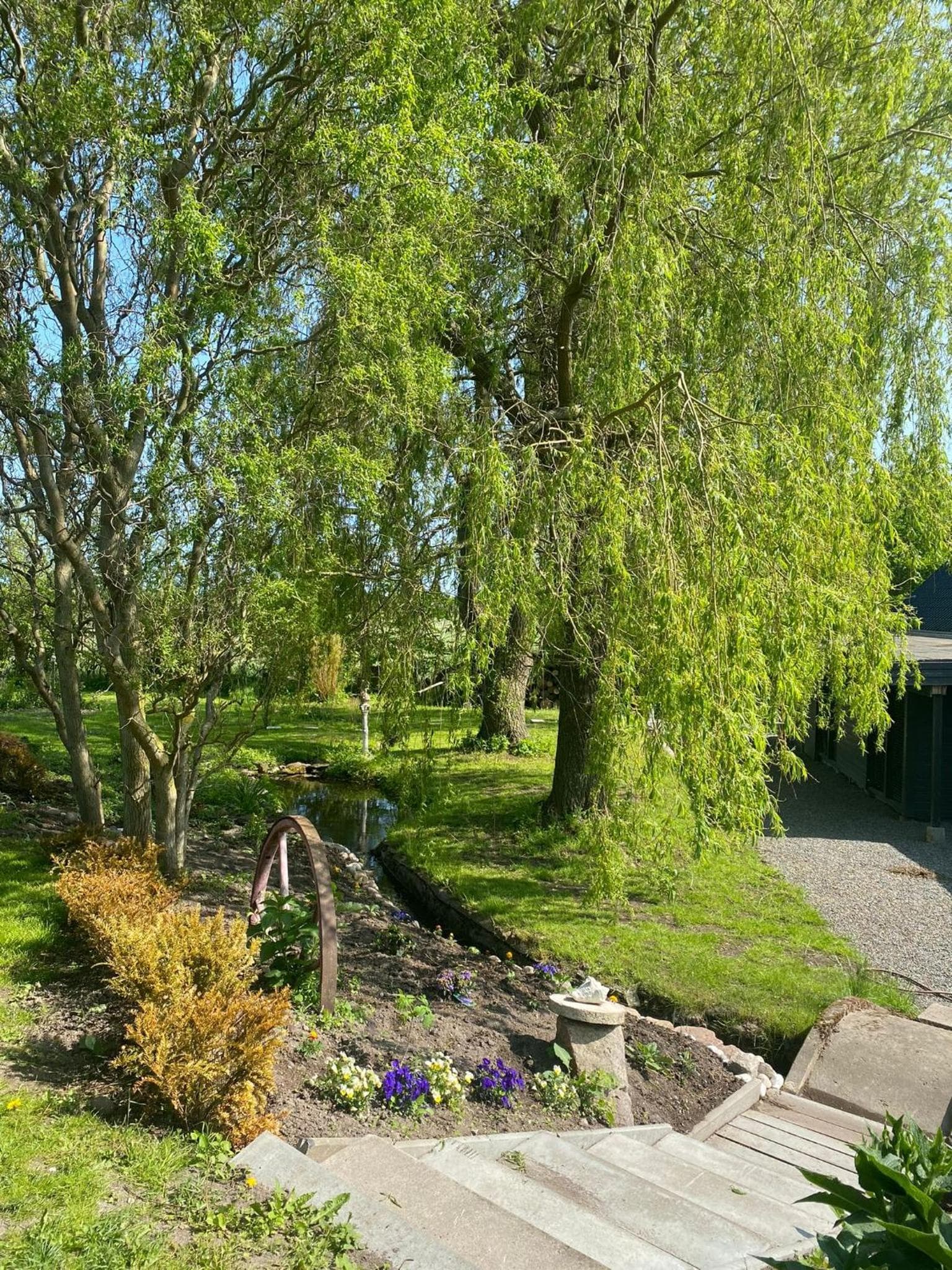 Hannas guesthouse photo 4