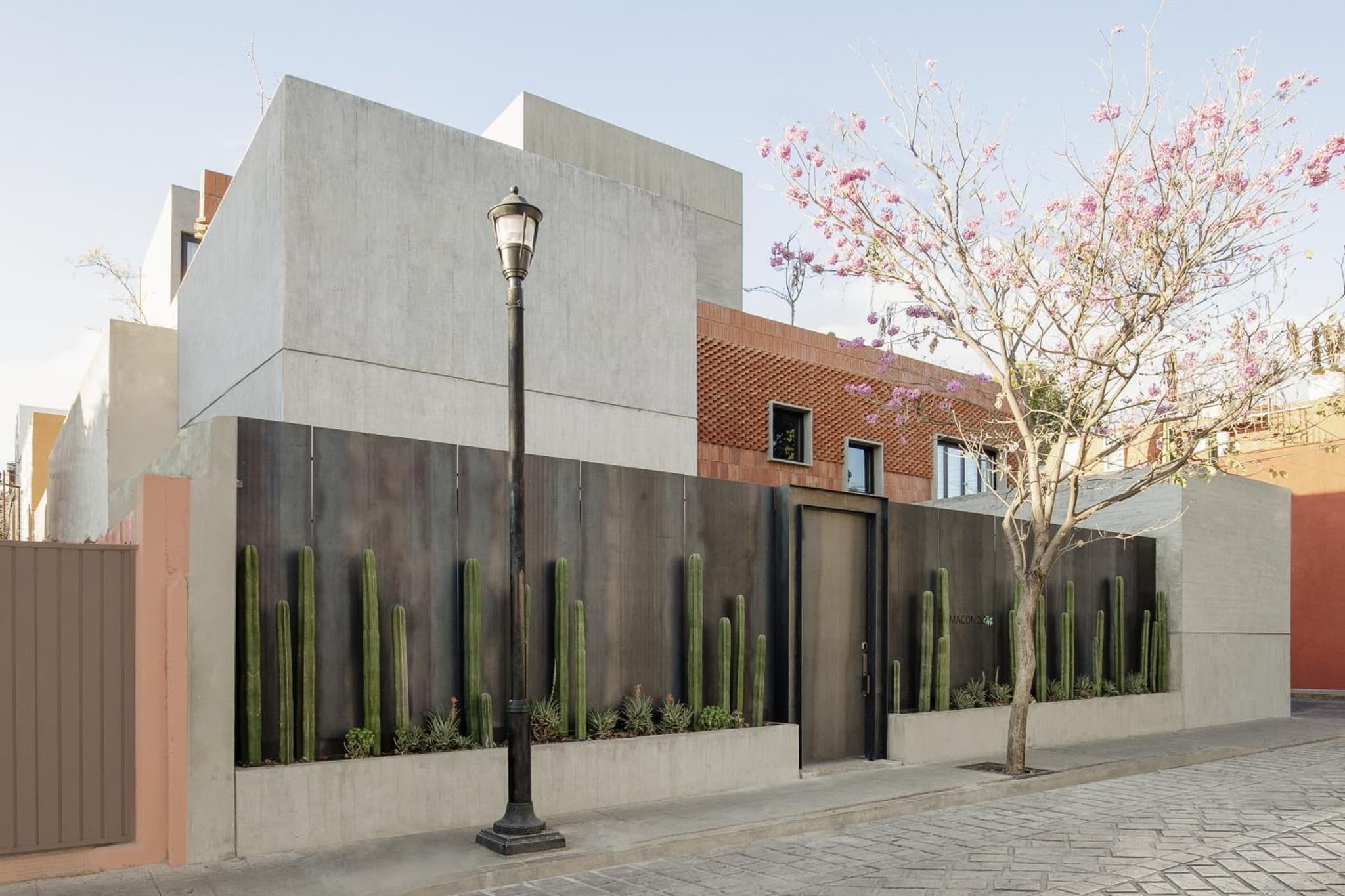 Macondo Arte Oaxaca photo 4