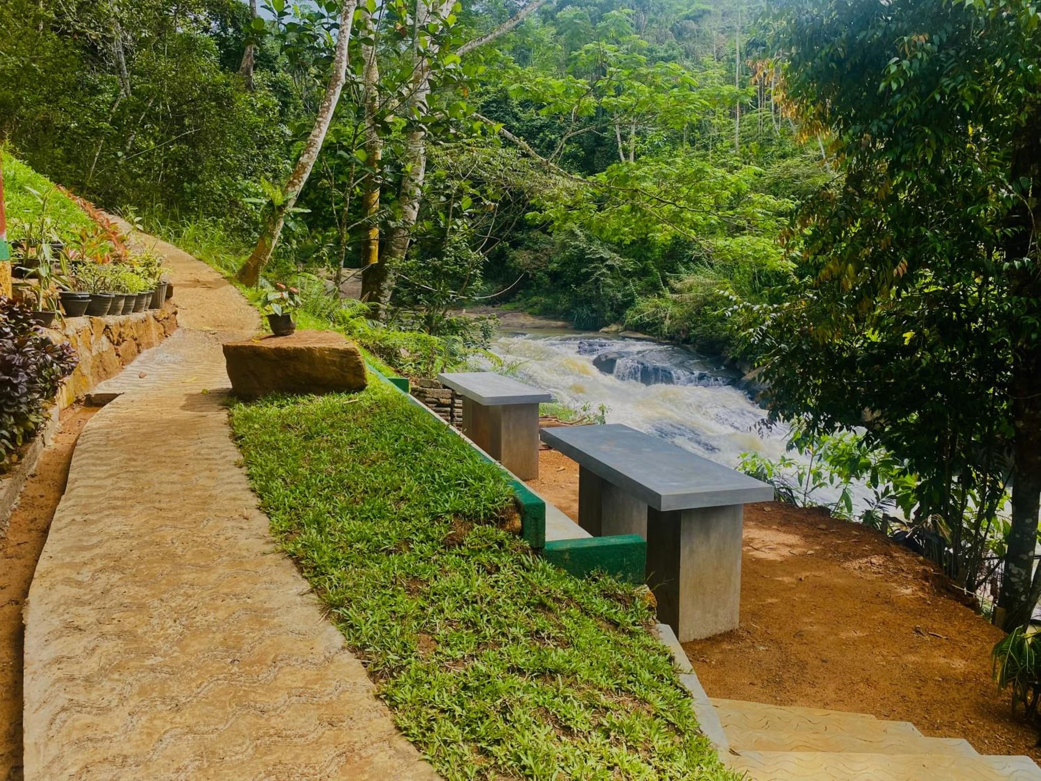 The Rainforest Hideaway photo 7
