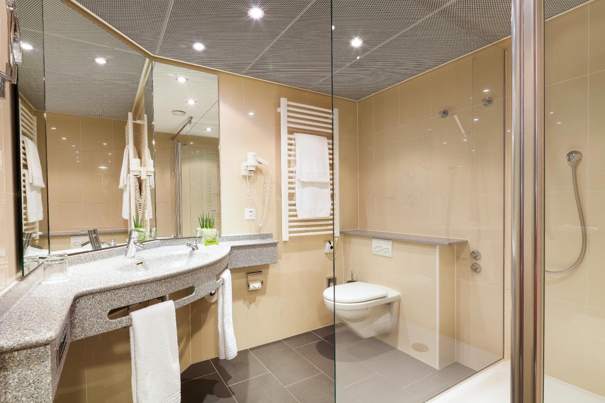 Ramada Hotel du Parc Baden photo 4