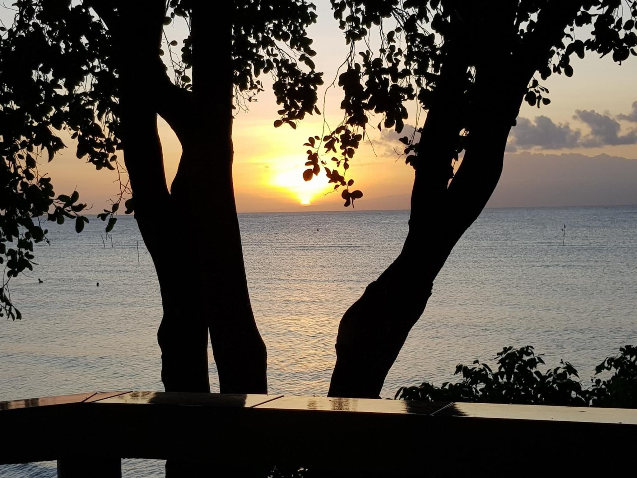 Karlsson's Guesthouse photo 7