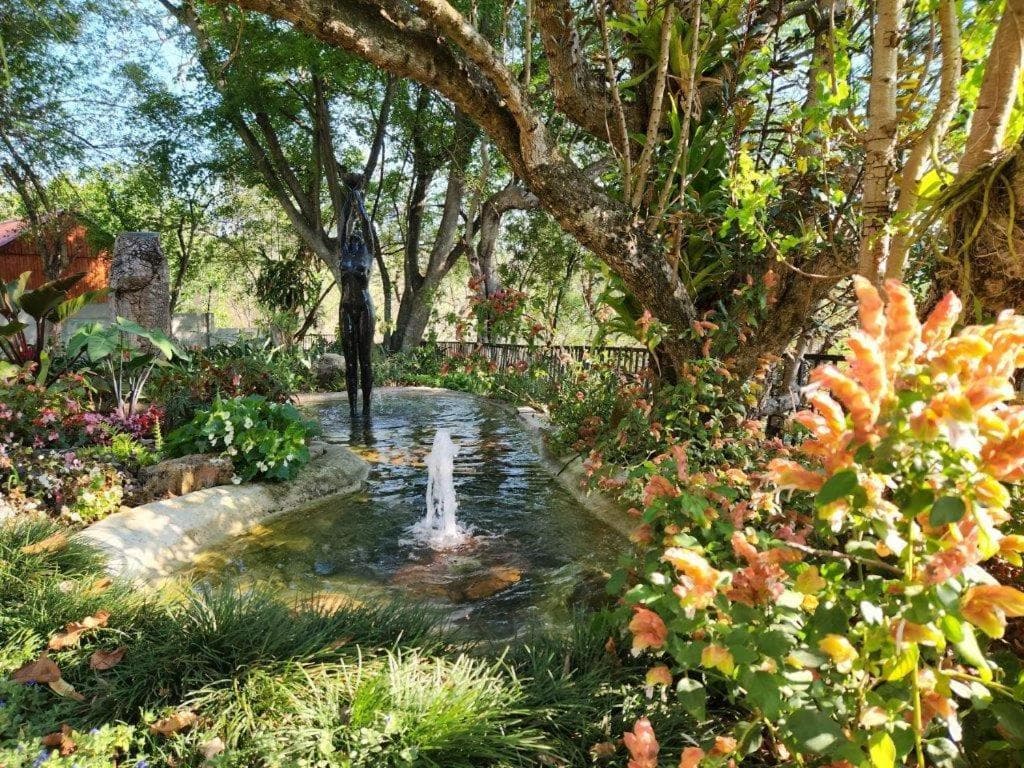 The Green Lizard Guesthouse photo 8