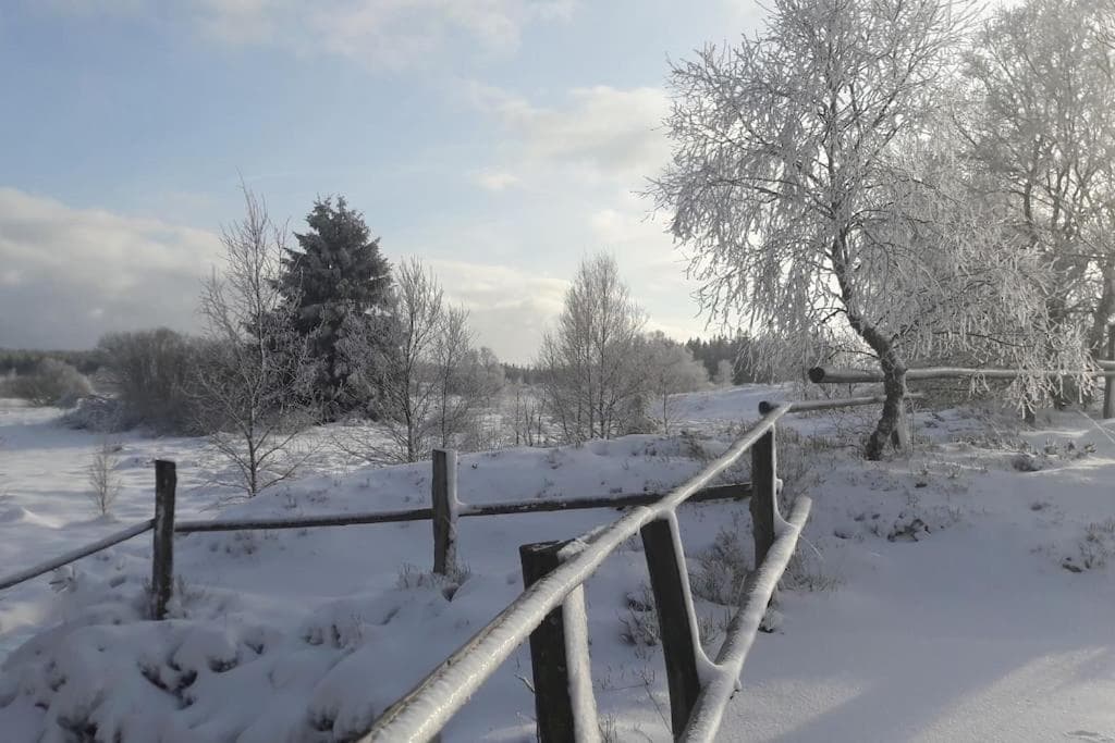 WalHOME: Hohes Venn, 3 Grenzen, Natur photo 7