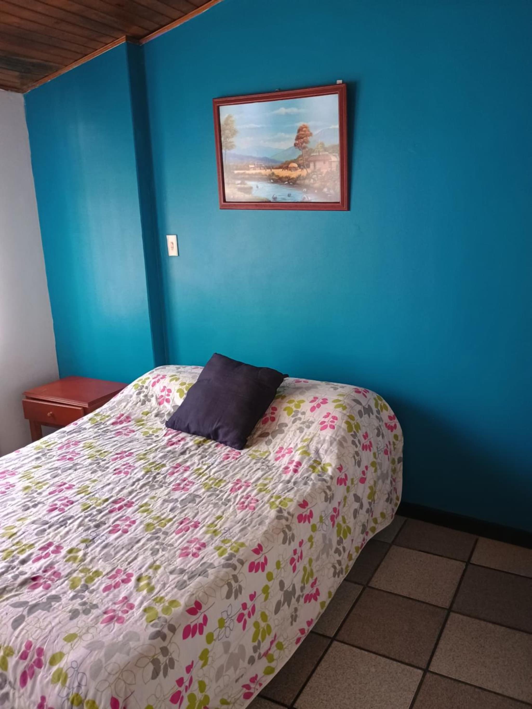 Villa Antonio photo 8