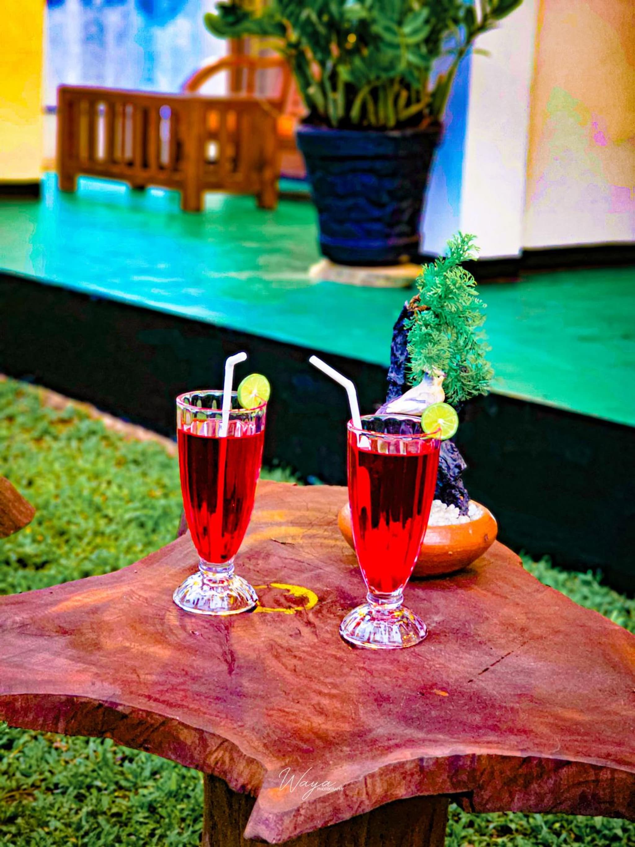 Elite Safari Resort