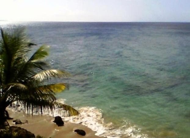 Brisas de Borinquen photo 9