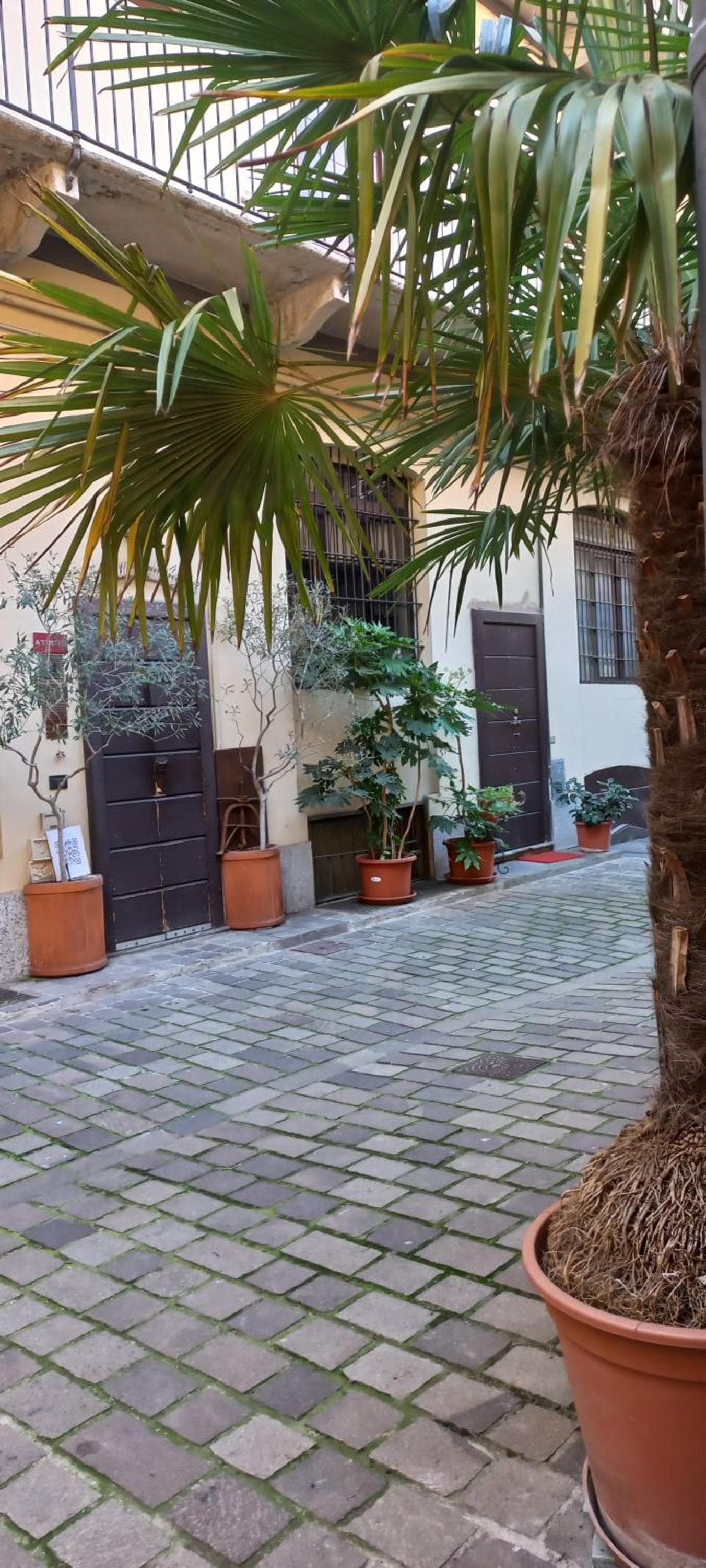 b&b milano center porta romana photo 8