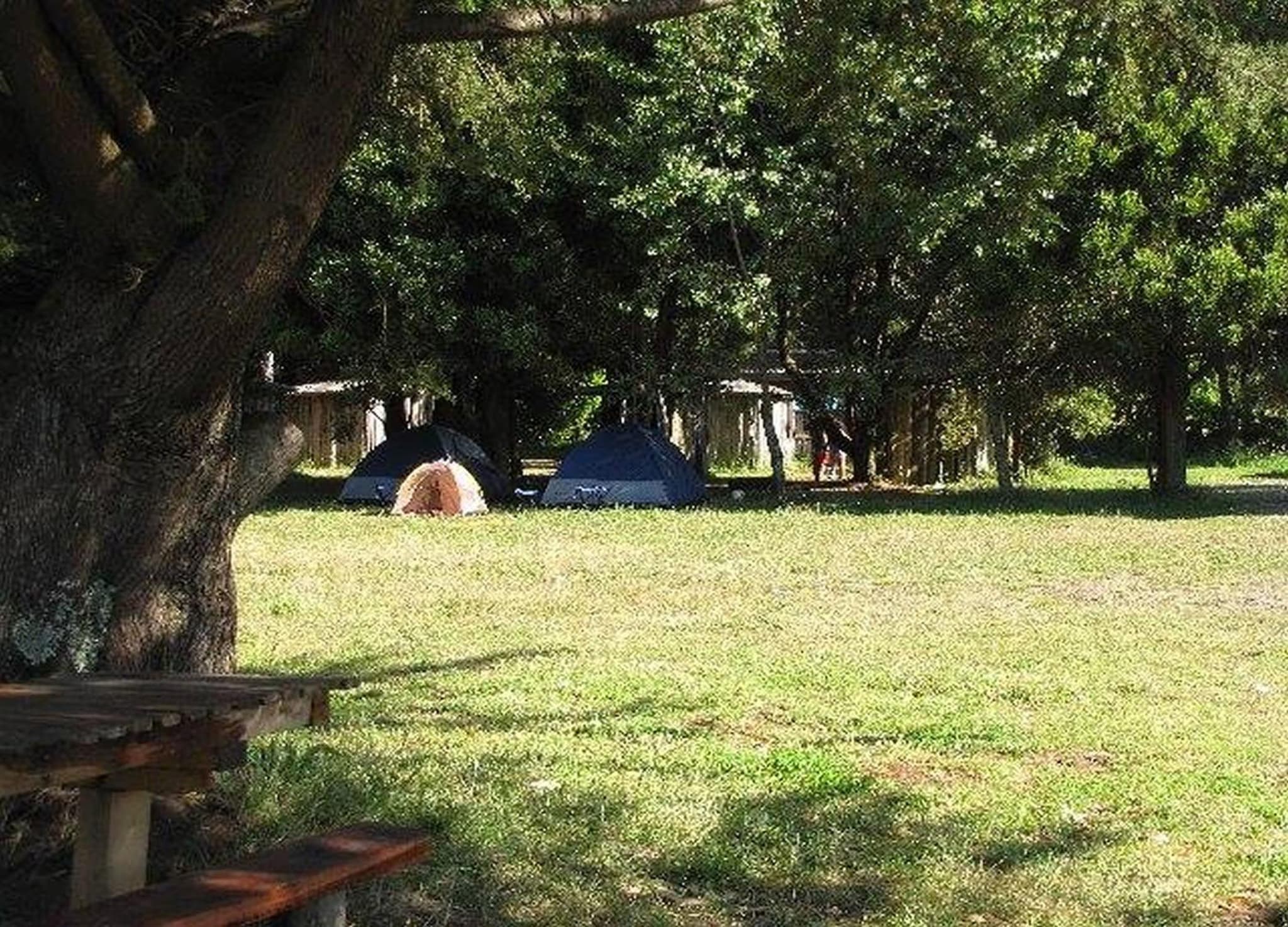 Mae Joa Turismo - Cabañas & Camping Familiar photo 6