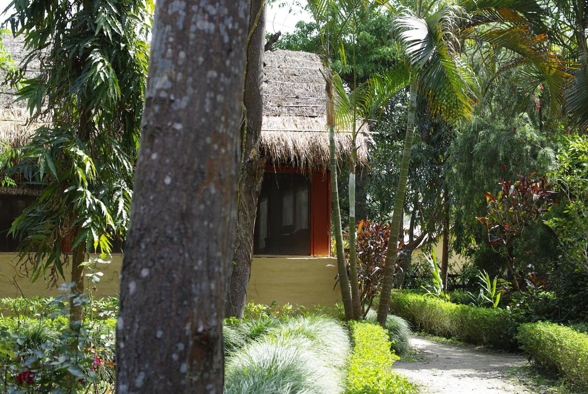 Forest Hideaway Resort Pvt Ltd photo 9