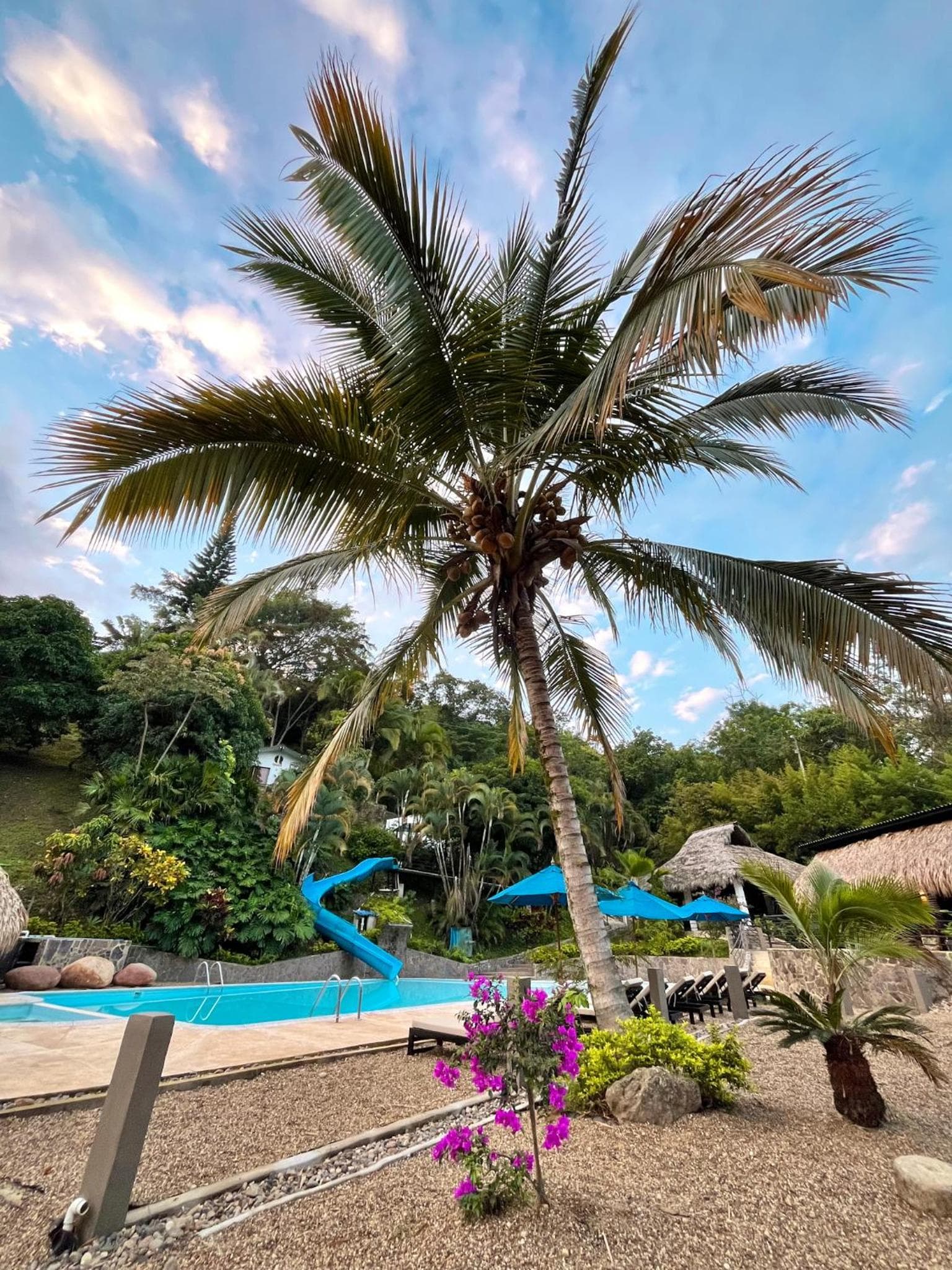 Jungla EcoLuxury Resort photo 8