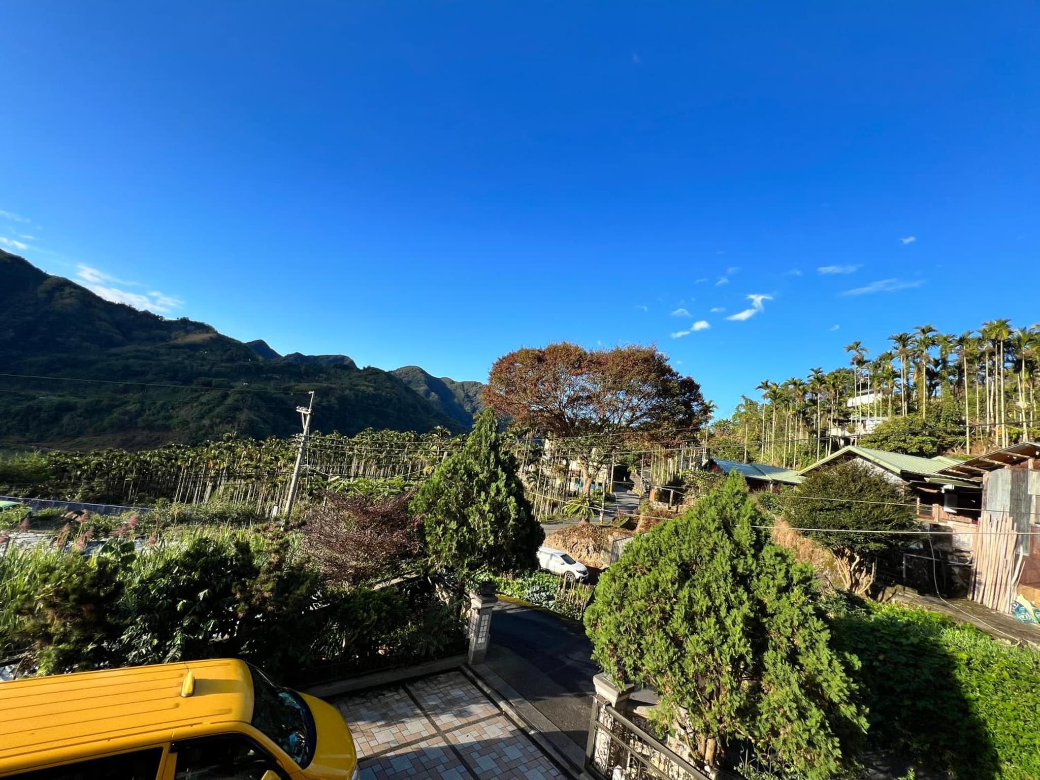 De Ren Tea Gardens photo 9