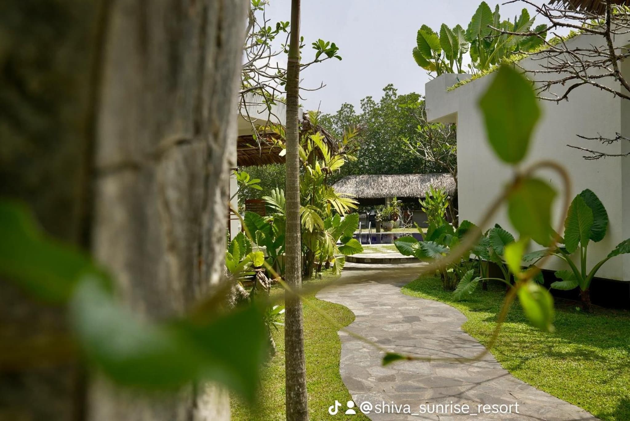 Shiva Sunrise Resort photo 8