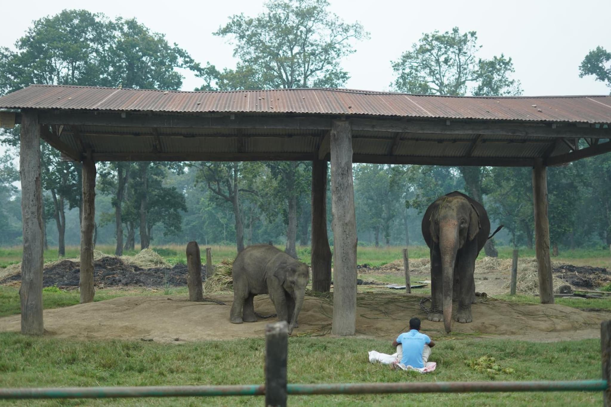 Hotel sauraha village photo 7