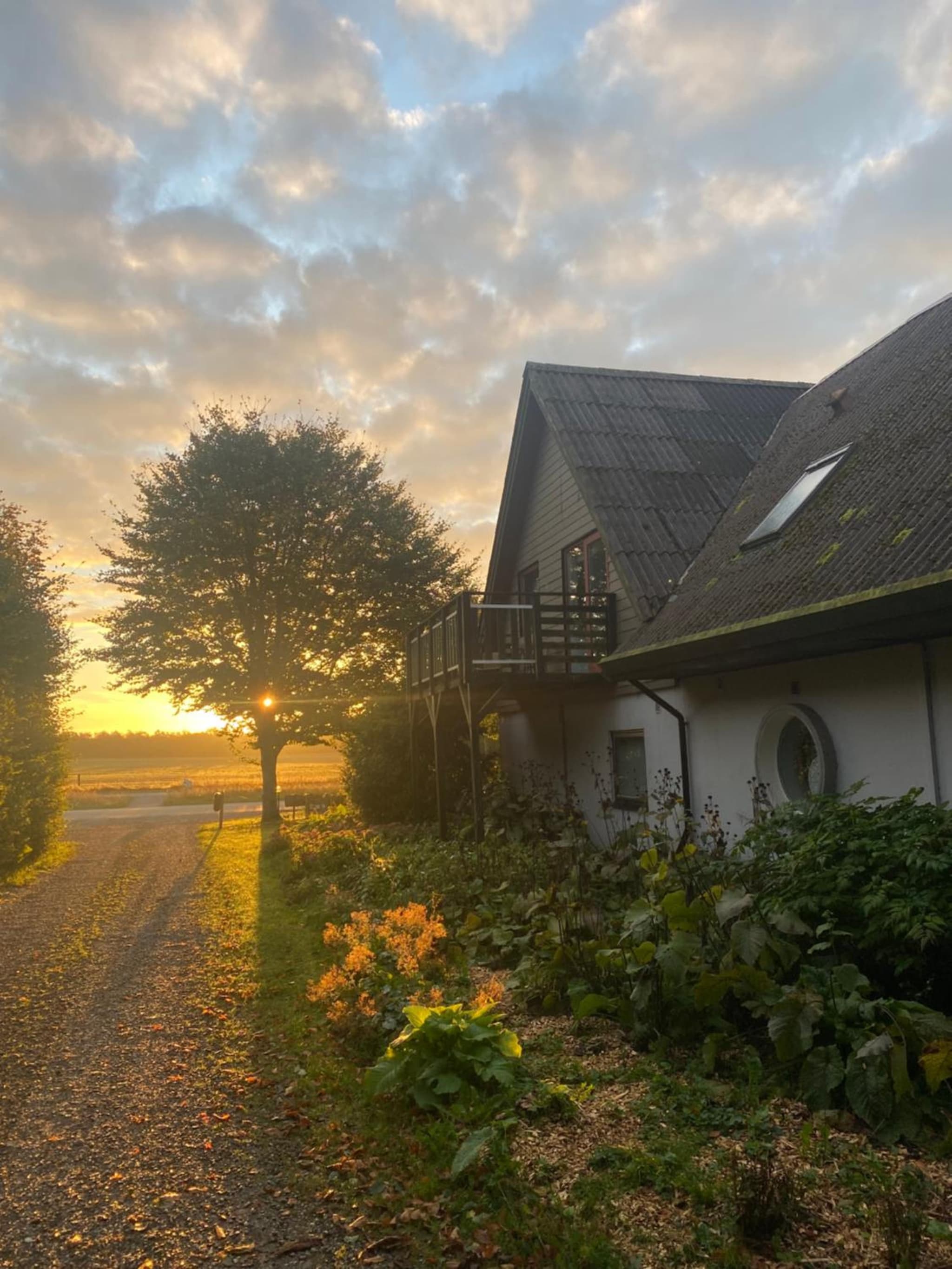 Stilbjerg Sleep&Hygge photo 4