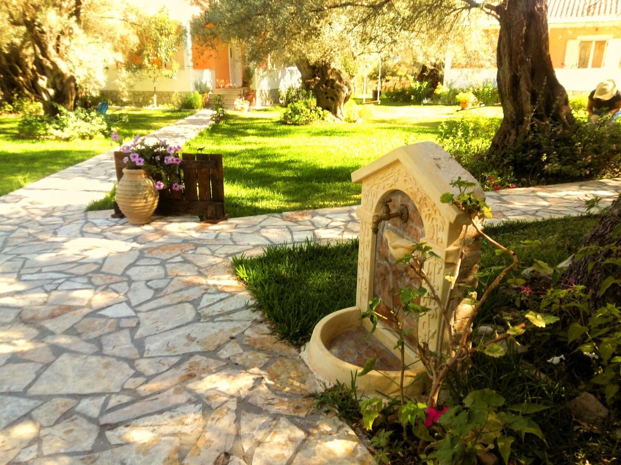 Villa Hector photo 9