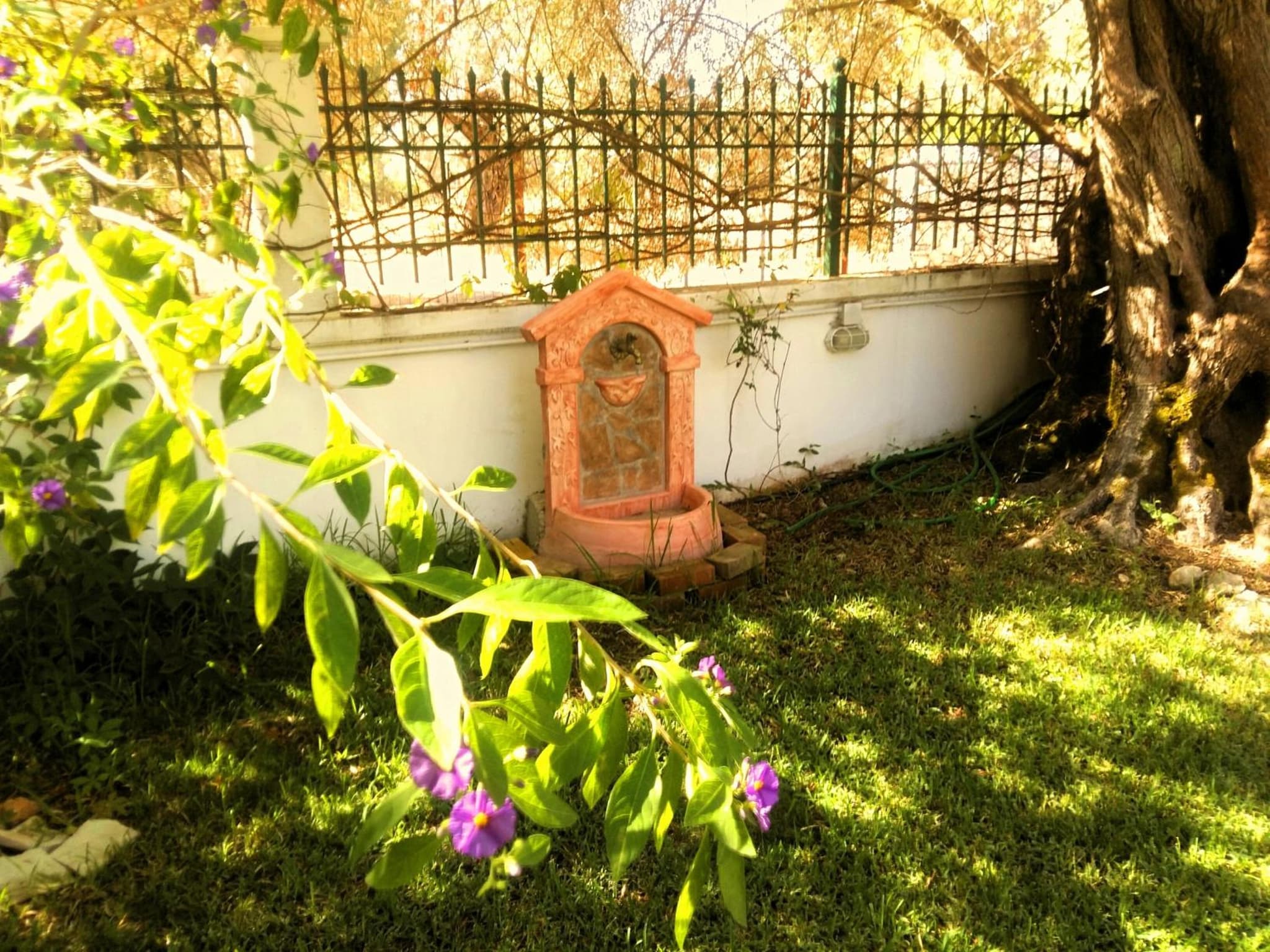 Villa Hector photo 7