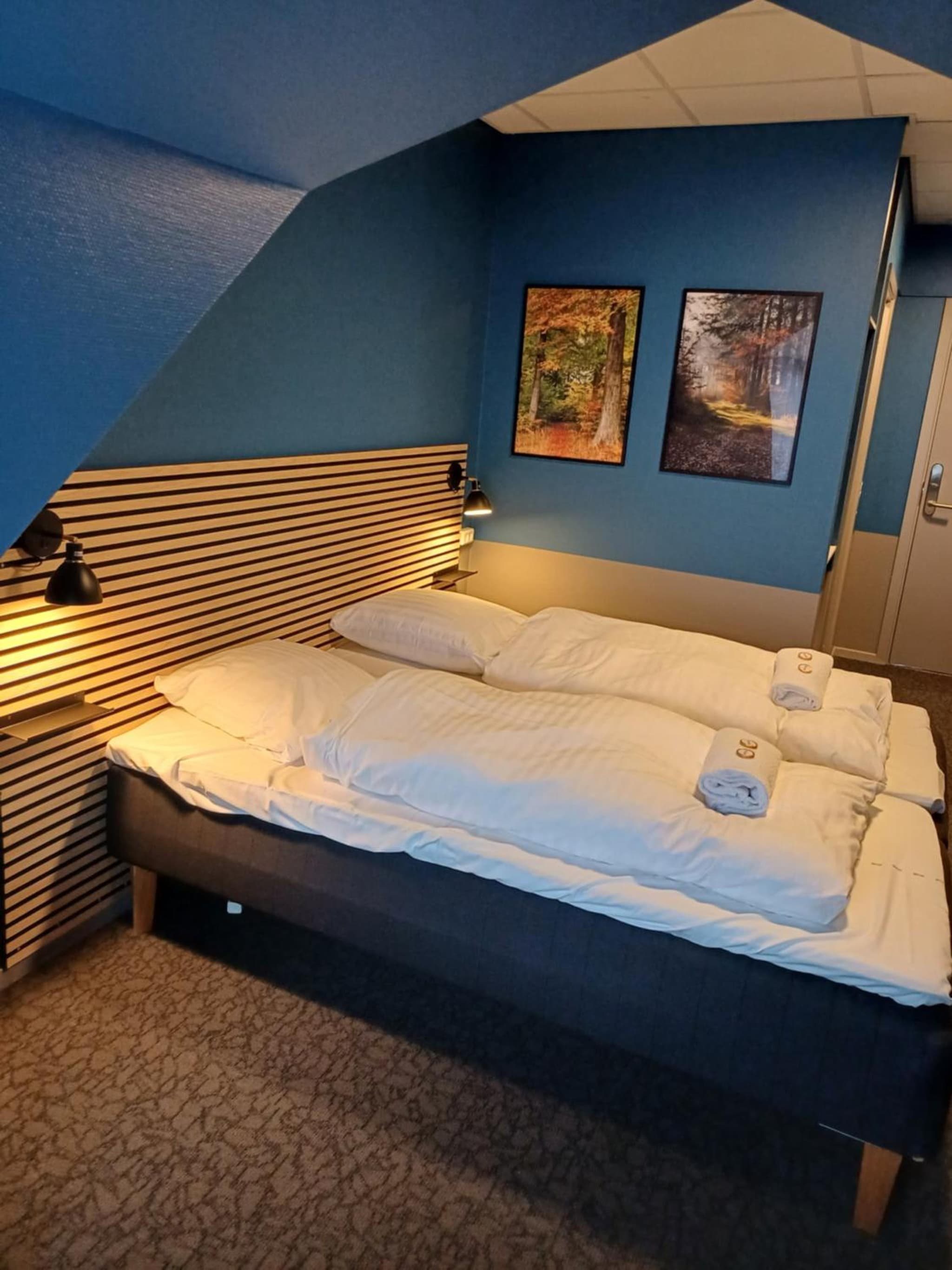 Double Room 9 in Saeby photo 3